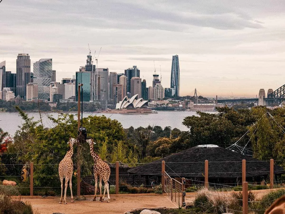 Sydney Zoo