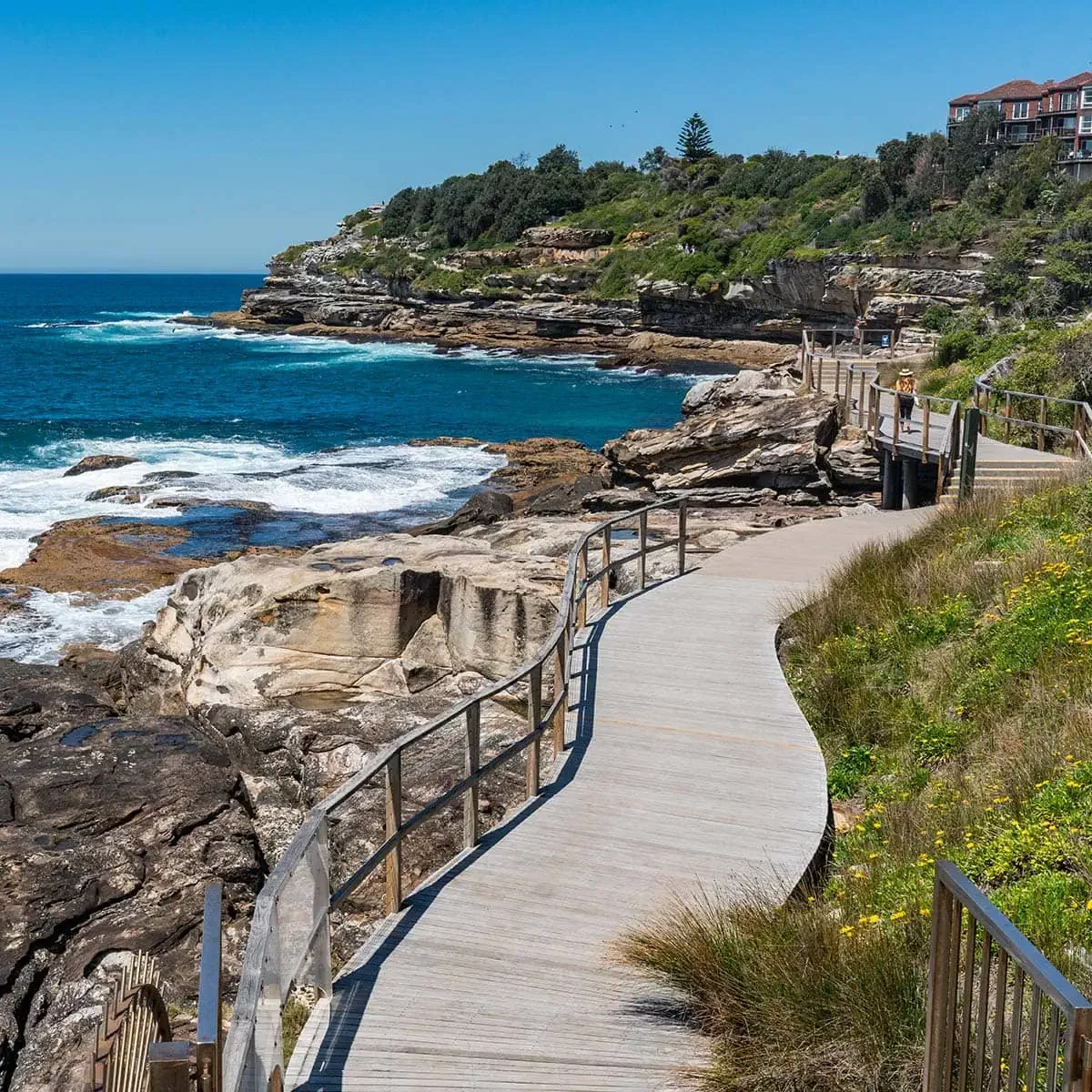 Coogee Beach Walk