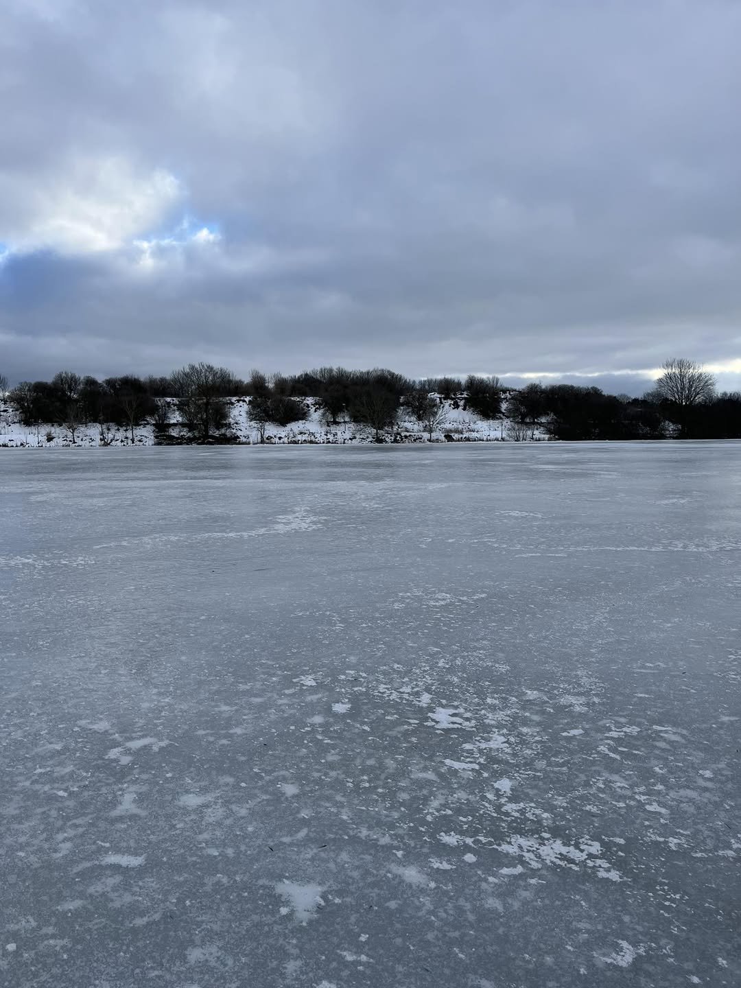 Skridskor vid Björkegården