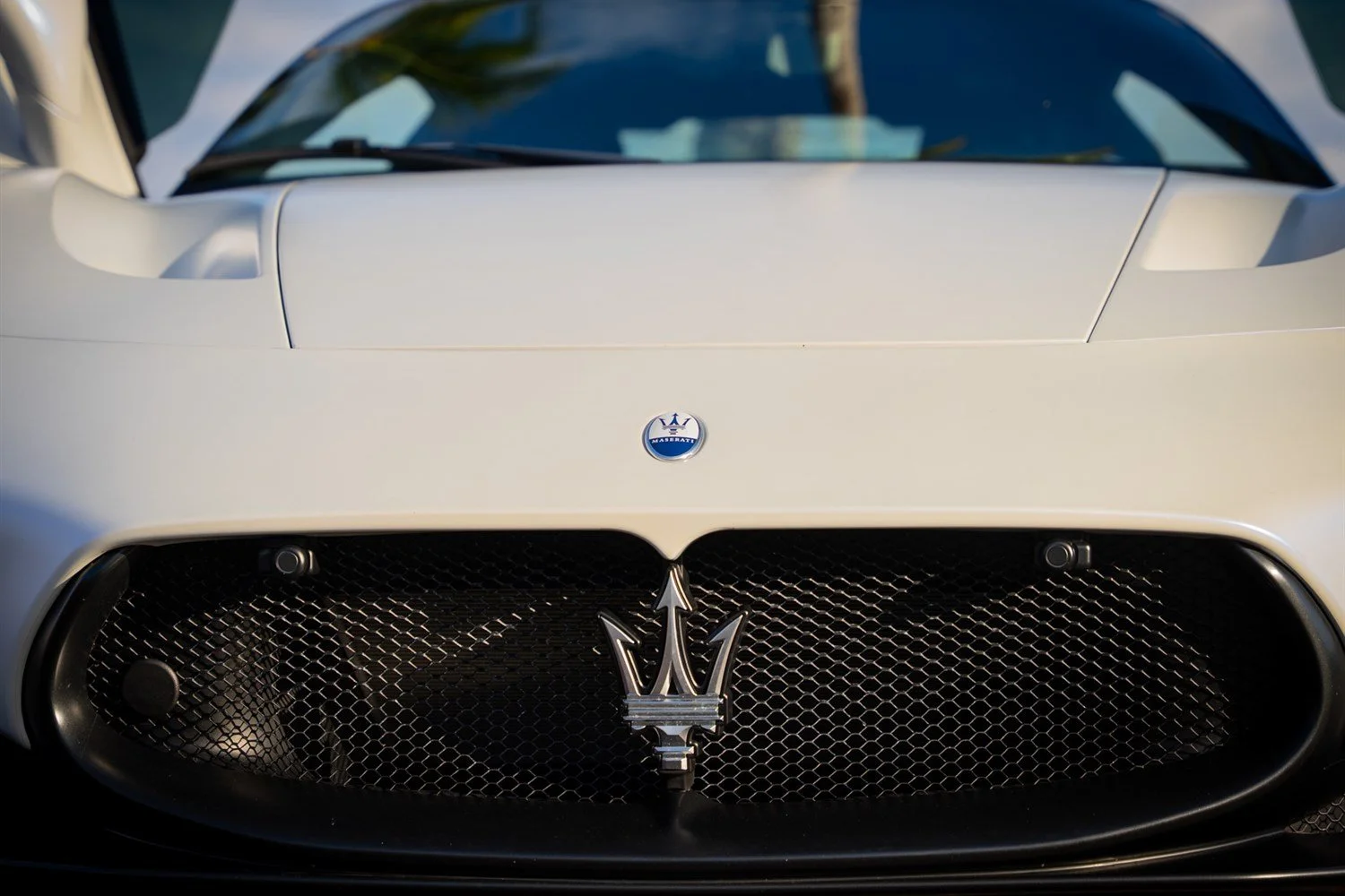 08 - maserati-mc20-front-grille-trident-detail.jpg