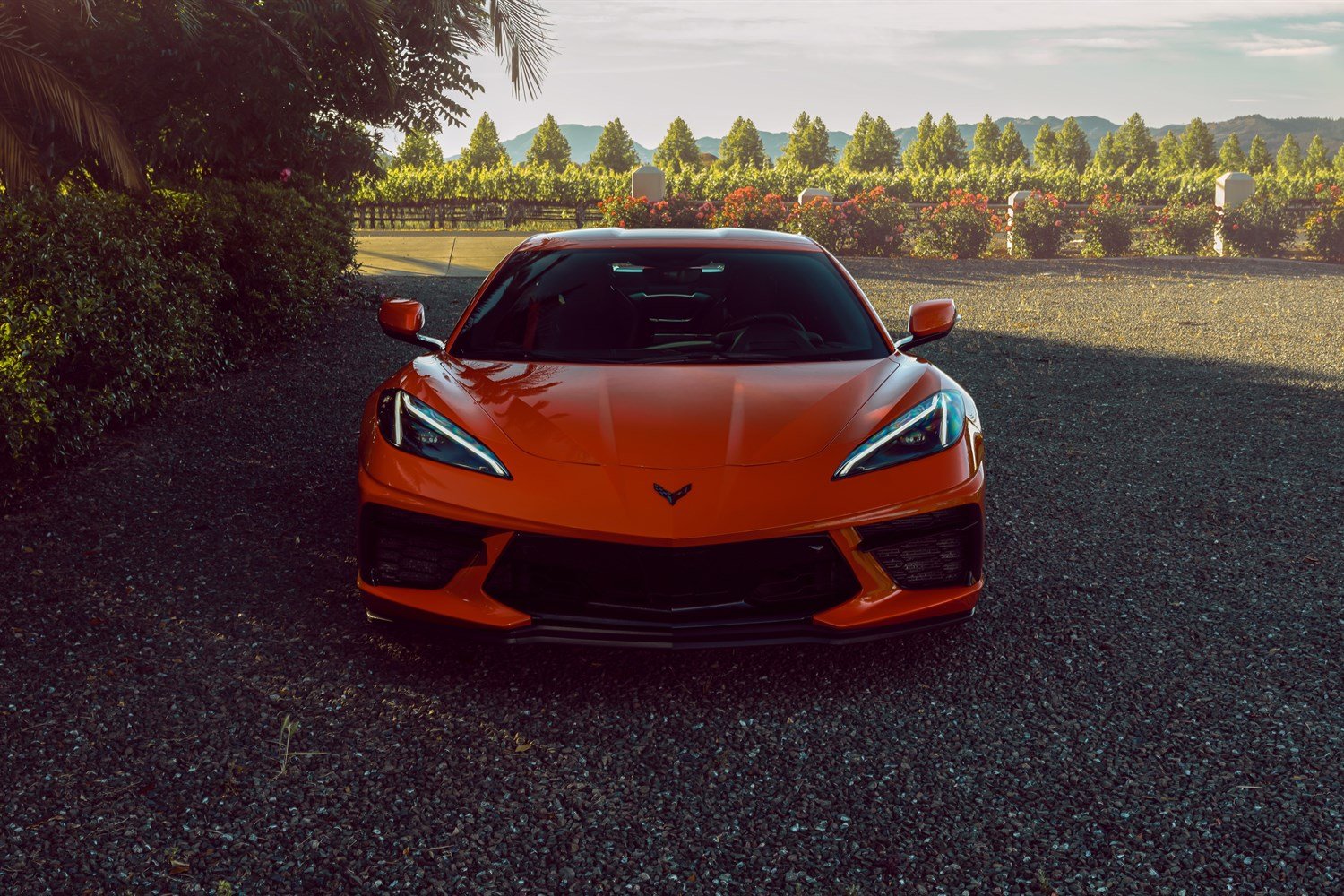 14 - corvette-c8-front-lifestyle.jpg