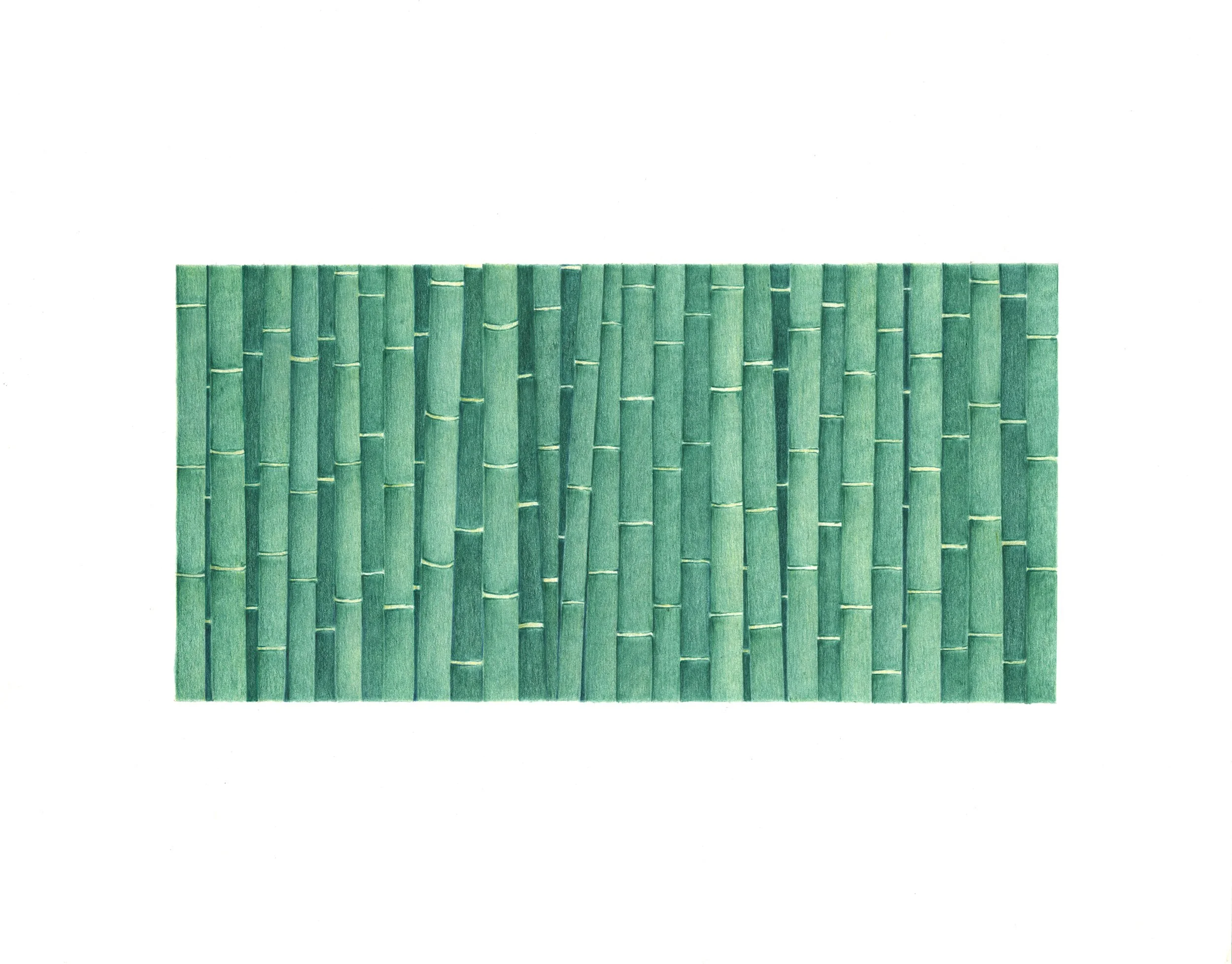 Bamboo 2012 Colored Pencil copy.jpg