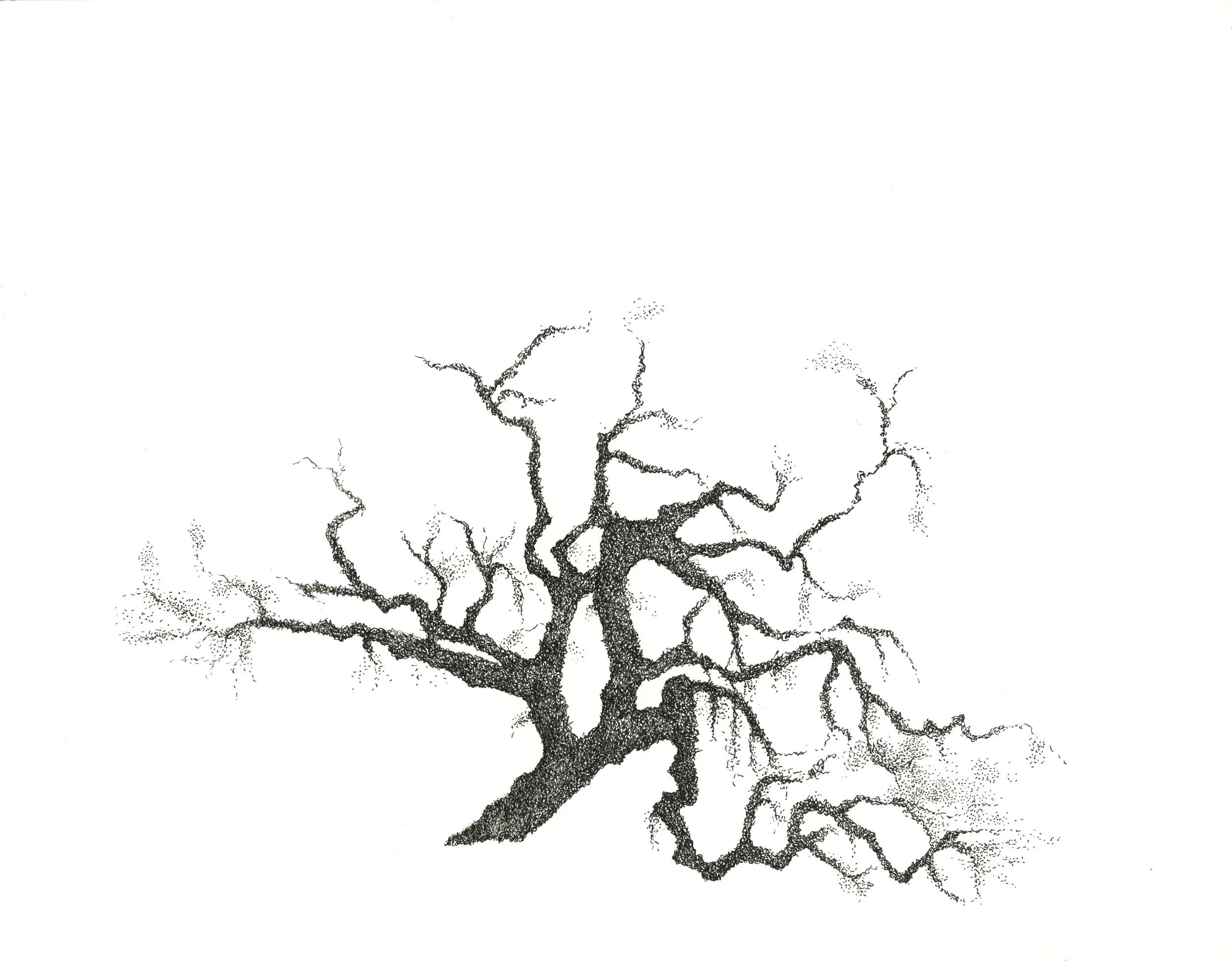 Tree 2012 Ink copy.jpg