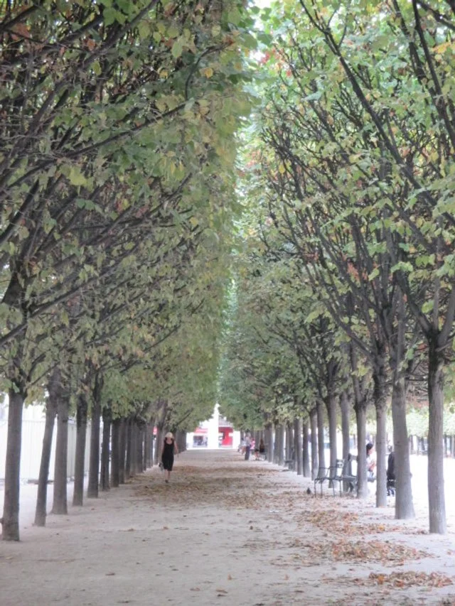 B55C2DF1-F4DC-496A-AE9F-F4AA64918AEA.jpeg