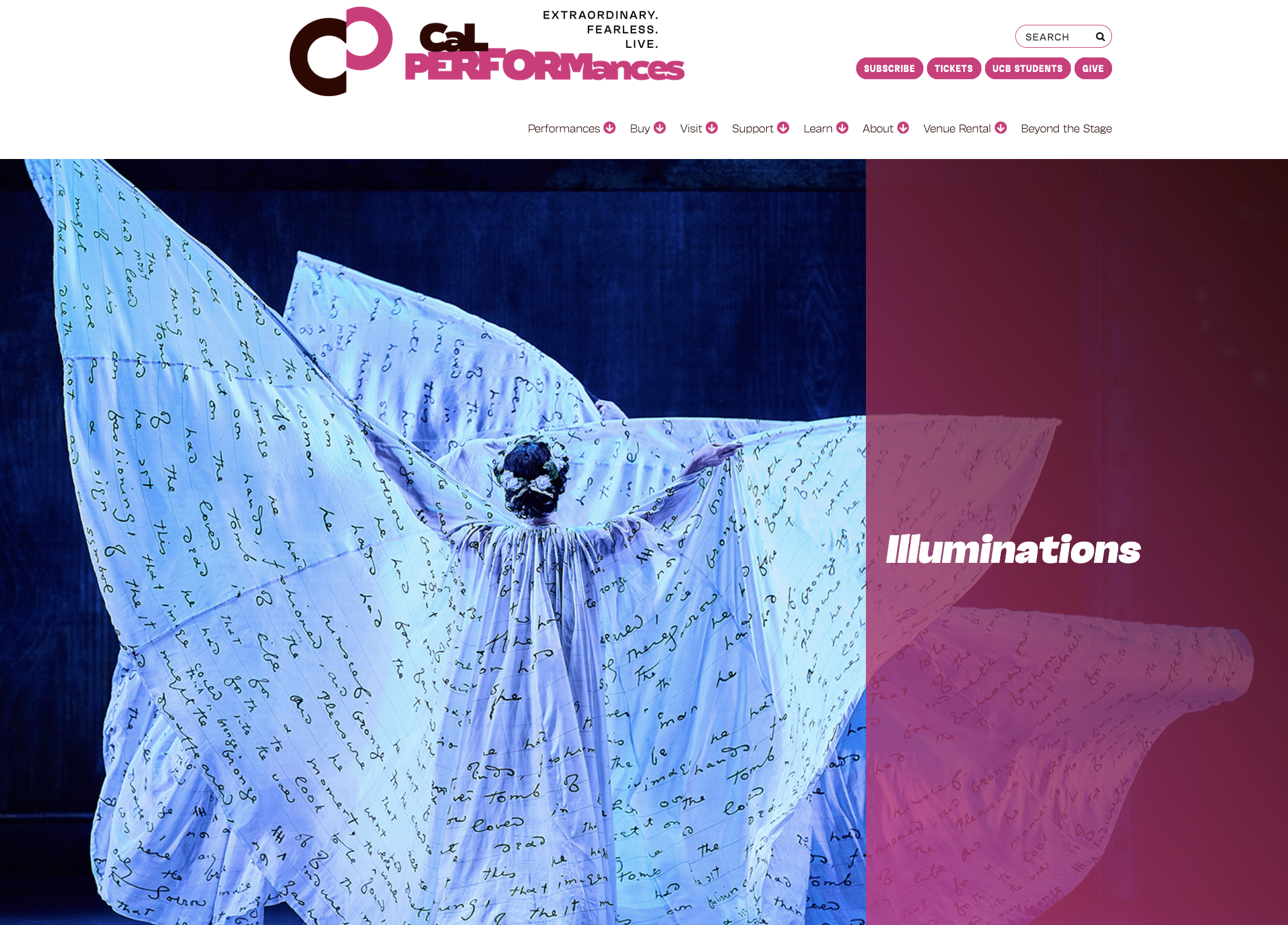 Illuminations Portfolio.png