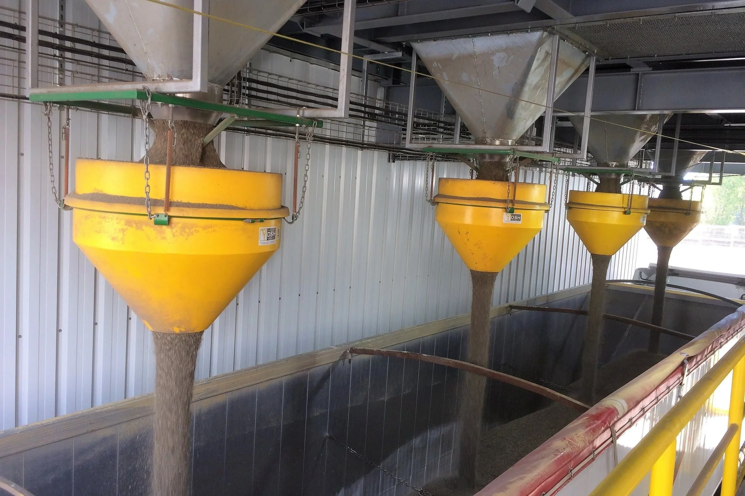 Multiple yellow  dust suppression hopper dispensing feed into a long truck/trailer.