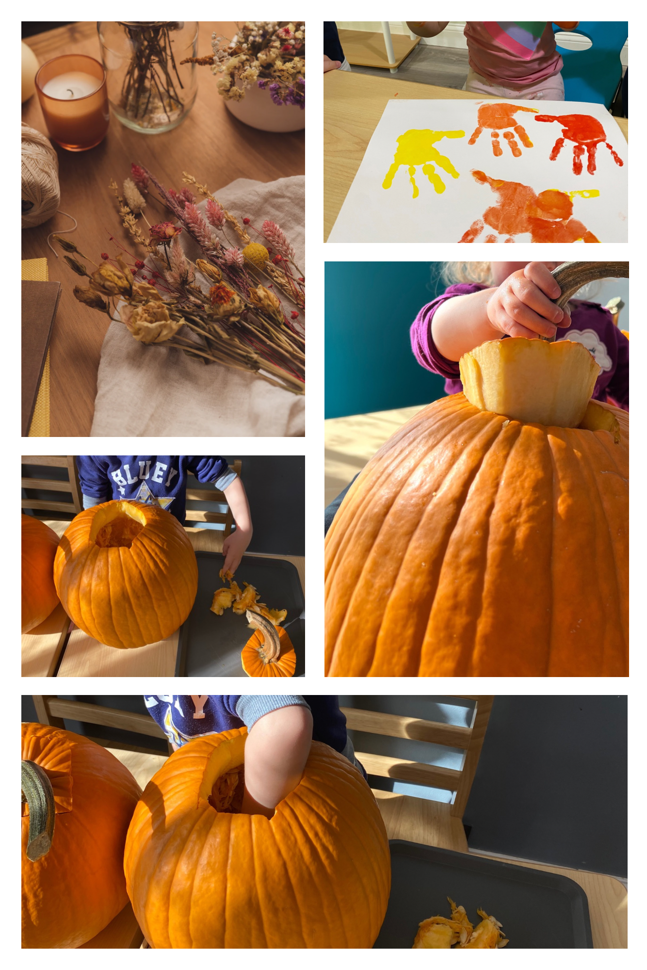 Brown Aesthetic Nature Autumn Photo Collage.png