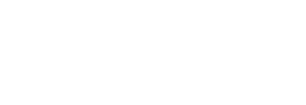 Texas Women&#39;s Foundation Luncheon