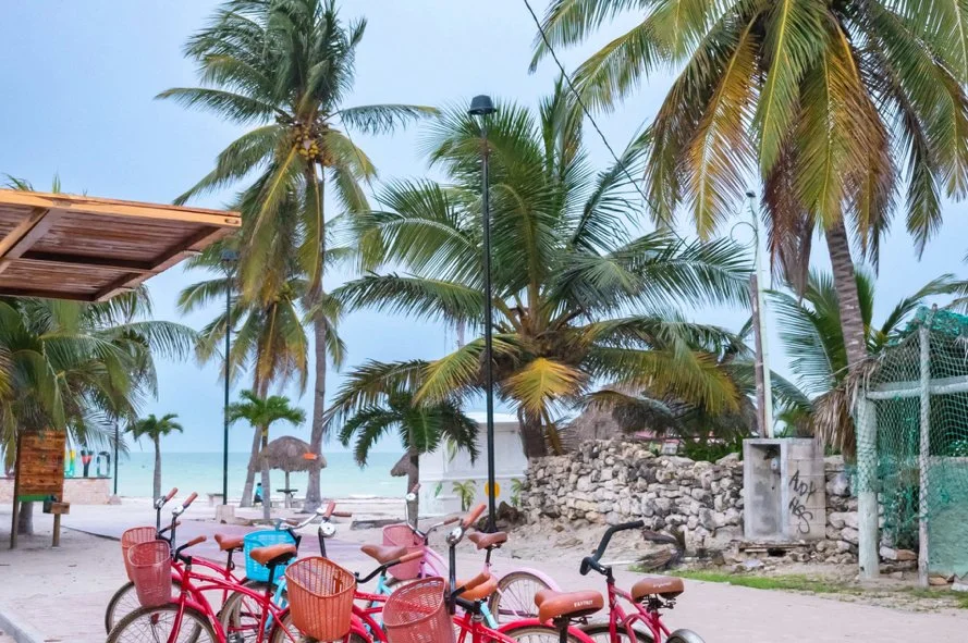 Beachside scene with palm trees, red bicycles, sandy beach, and thatched umbrellas.