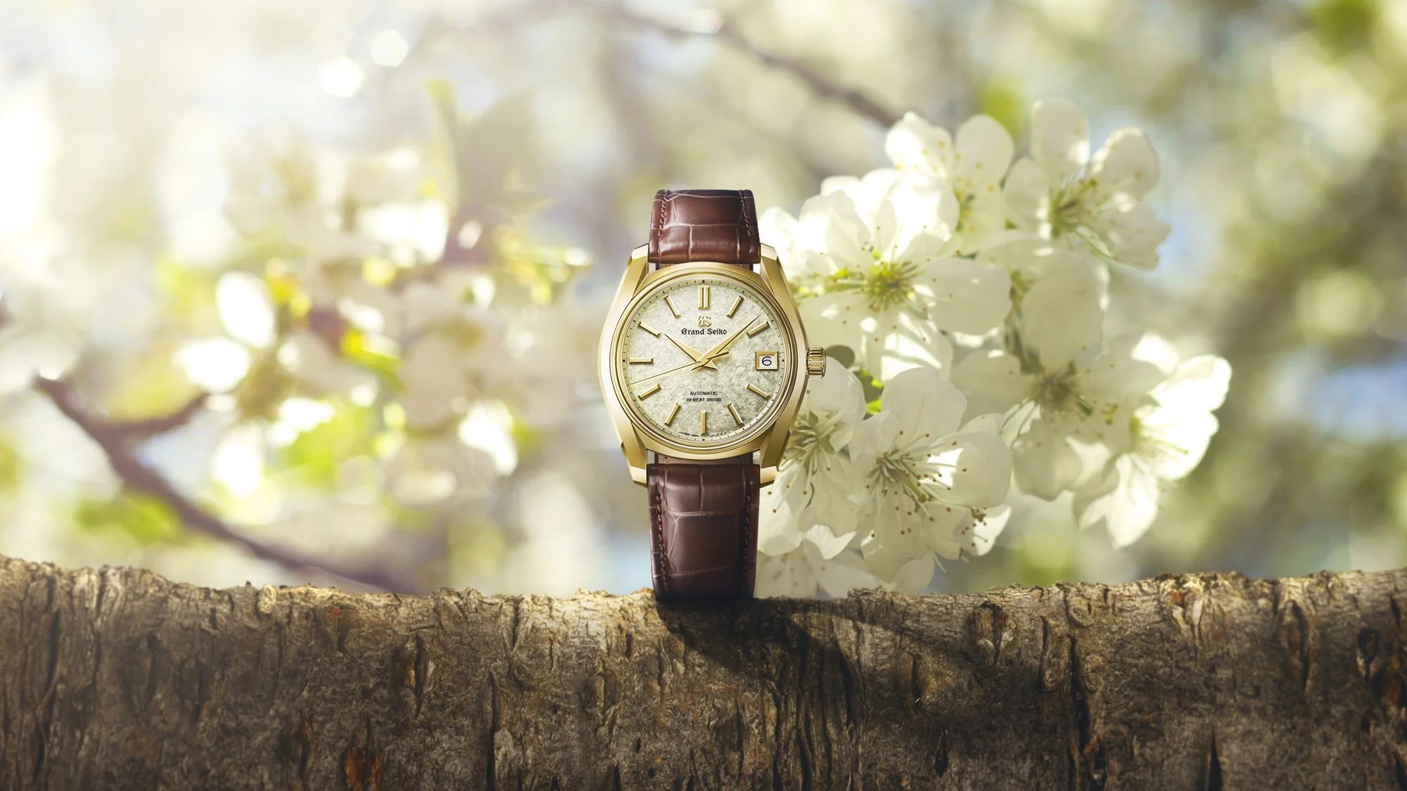 Grand-Seiko-Elegance-Cherry-Blossoms-Sakura-Wakaba-SBGH376-KV.jpg
