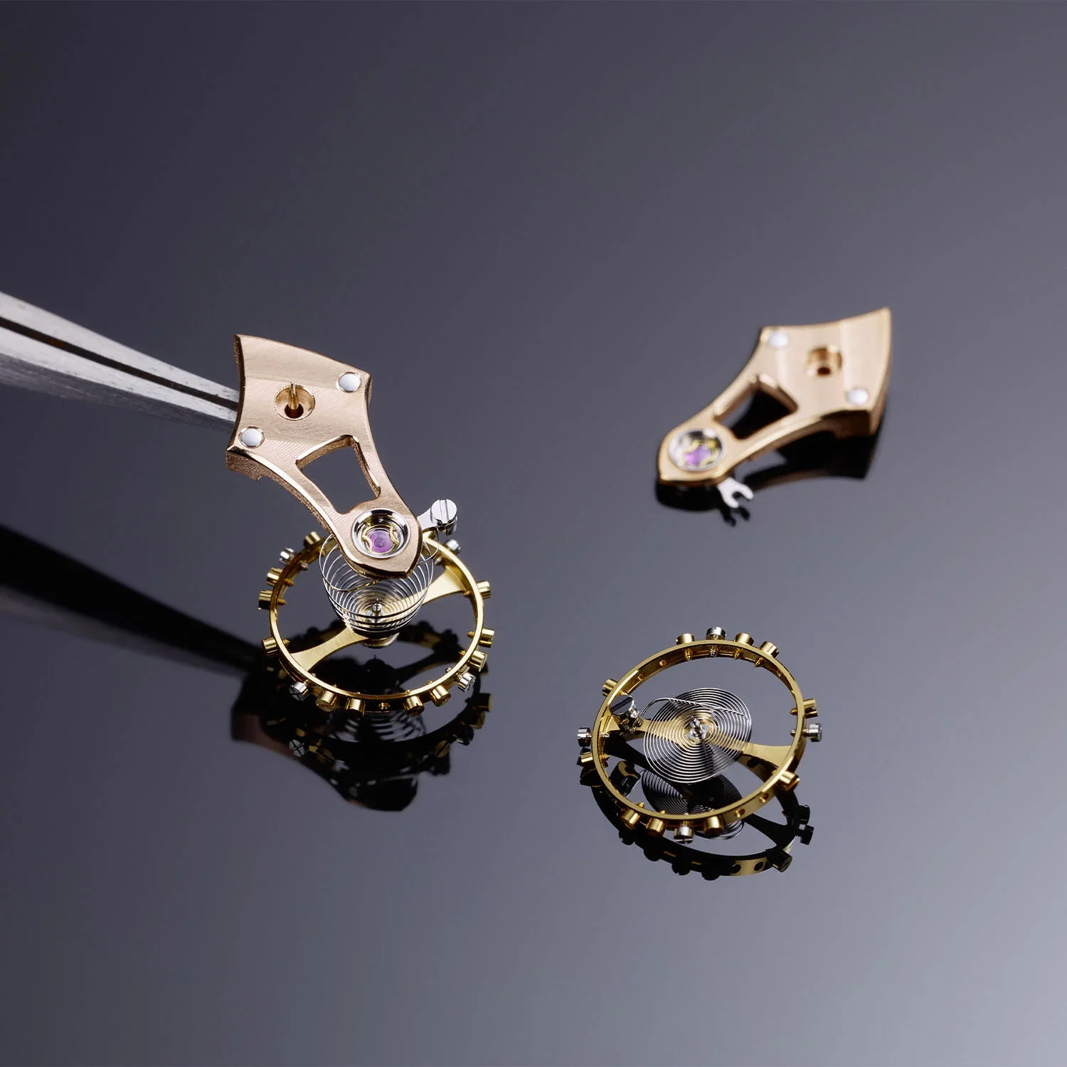 Tutima-Patria-Grade-5-Titanium-and-18k-Gold-Calibre-617-in-house-6612-09-7.webp