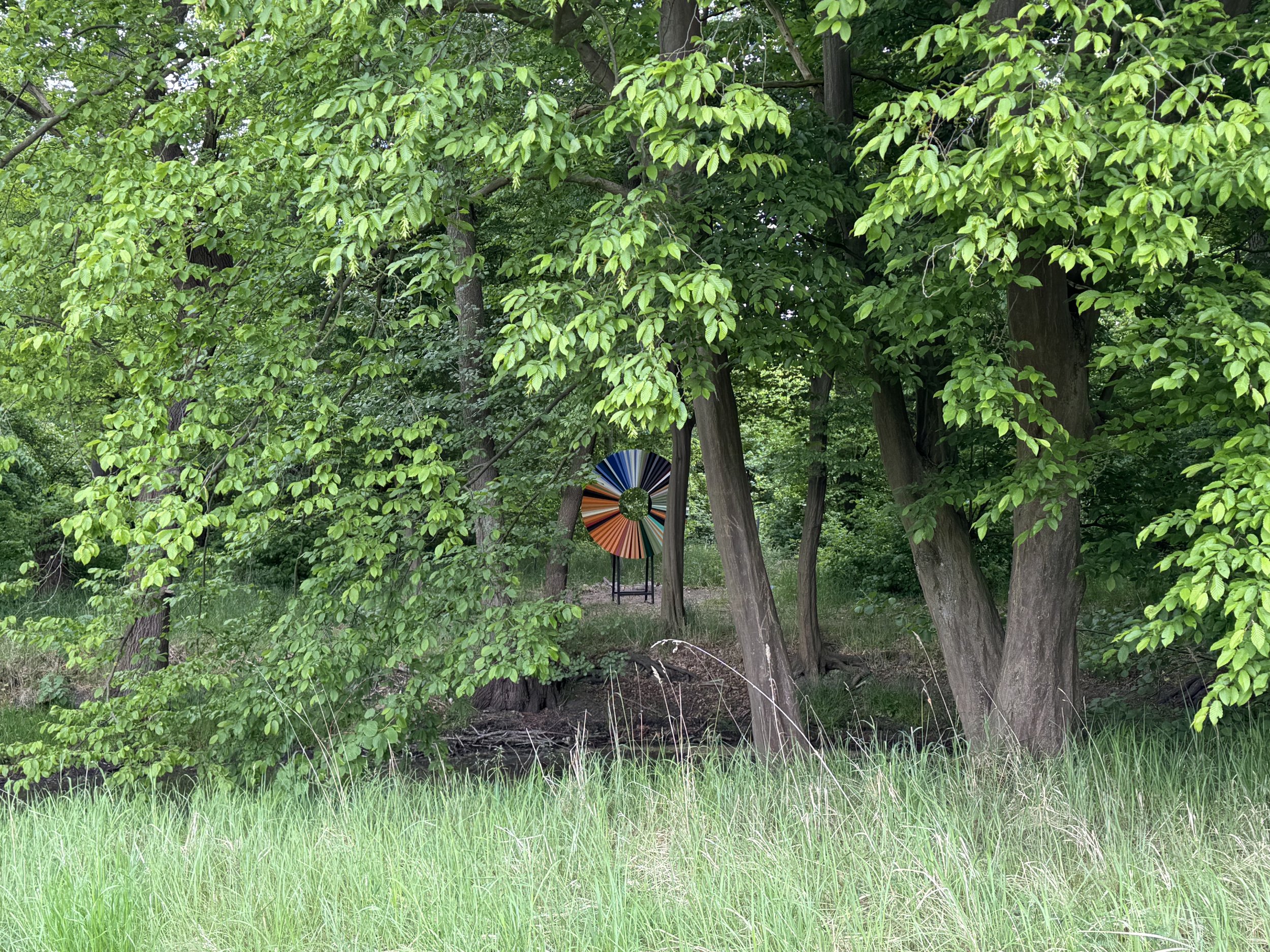 IMG_8788.jpeg