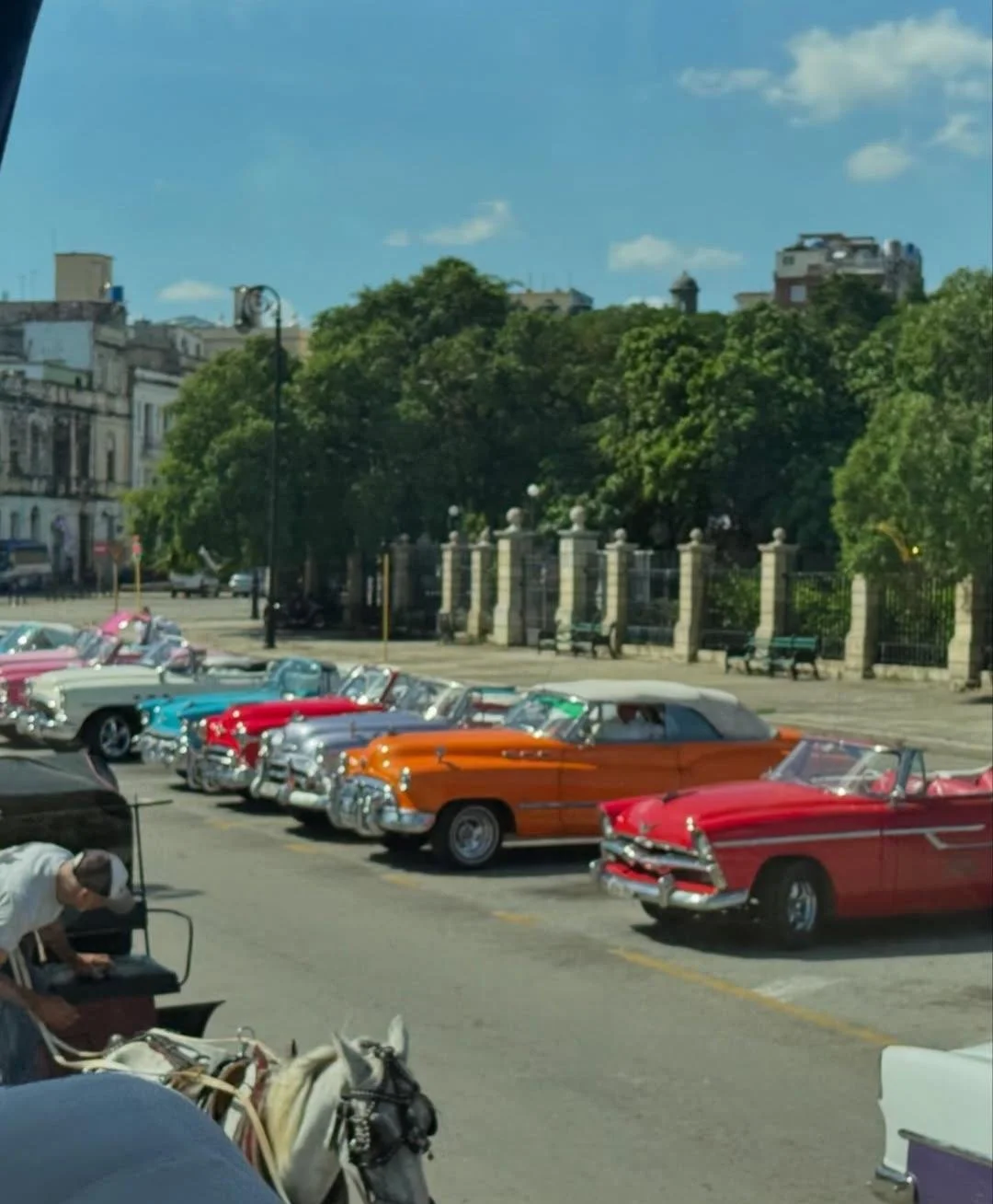 Row of classic vintage cars parked on a city street with trees, buildings, and a fence in the background. Cuba