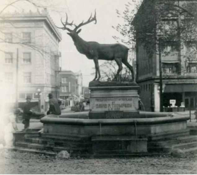 Historic image of the Elk Statue and fountain in Portland, Oregon