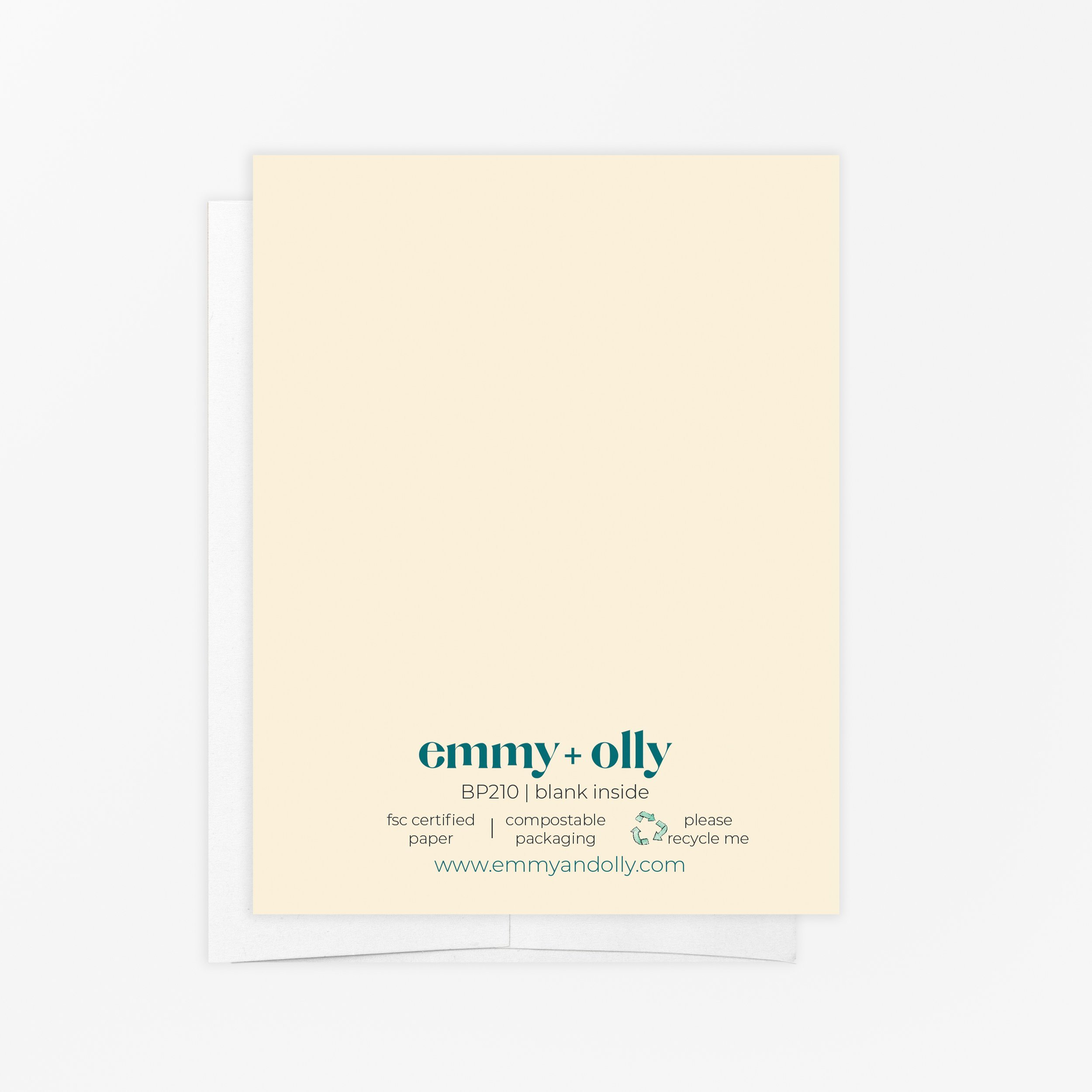 Emmy + Olly Congrats on Your Tiny Human Card Back.jpg