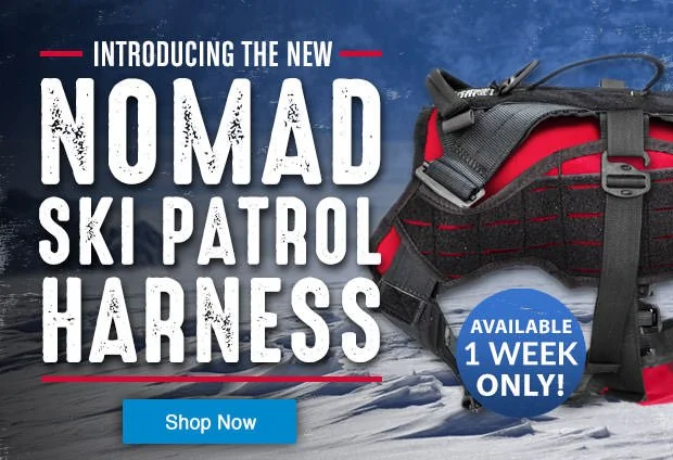 Ski-Patrol-Harness-0-5.jpg