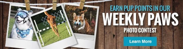Weekly-Paws-Footer-Banner-0-7.jpg