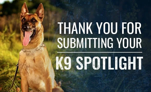 K9-Spotlight-Thank-You-Template-2.jpg