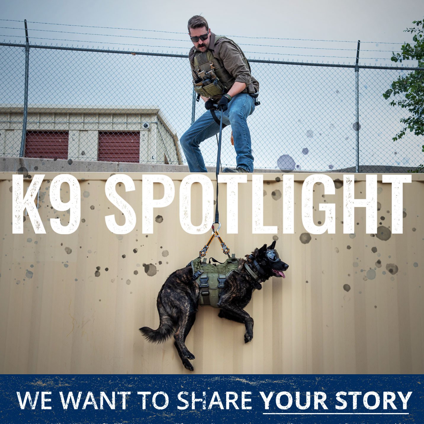 K9-Spotlight-Email-0-2-Square.jpg