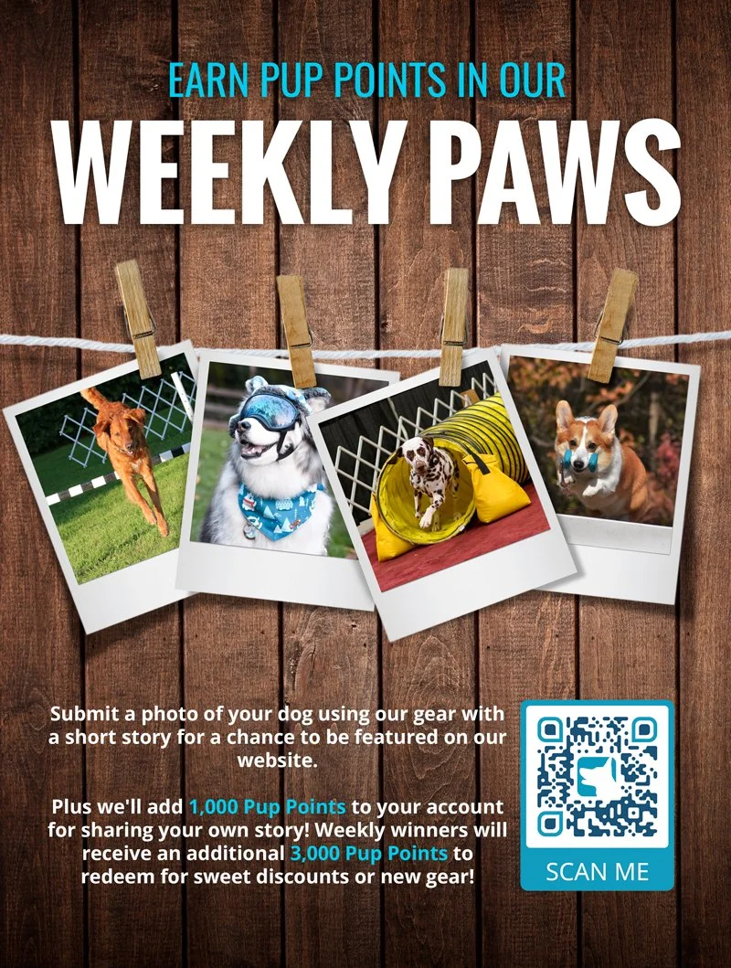Catalog-Weekly-Paws-0-6-copy.jpg