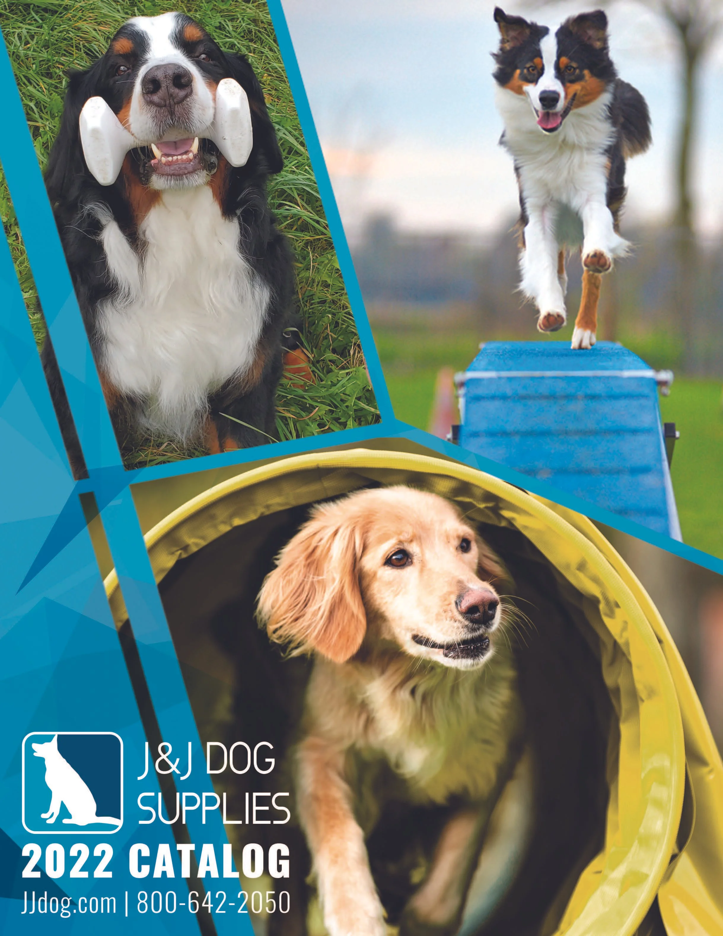 JJDog-2022-Catalog-Page_Page-1.jpg