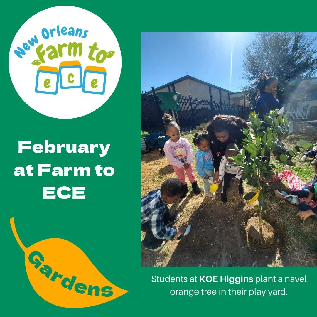 Winter at the early learning centers was filled with explorations of local beans, peas, and root vegetables. In December, students ran their fingers through sensory containers of dried bean varieties and taste-tested fresh snap peas. In January, clas