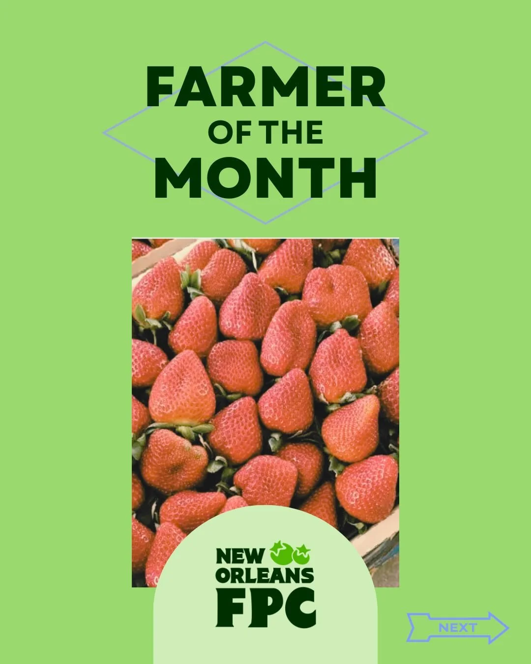 At the New Orleans Food Policy Council, we&rsquo;re bridging the gap between our littlest learners and local farmers! Through our Farm to Early Care and Education (ECE) initiative, we&rsquo;re ensuring fresh, locally grown food reaches early childhoo