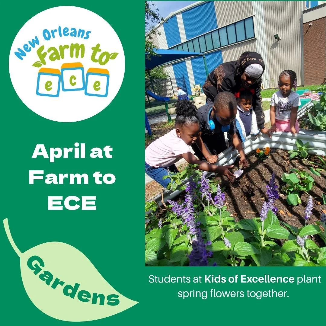 Spring at Farm to ECE has been full of joyful garden plantings and fresh food taste-tests. In March, students became chefs for a day and created a tasty &ldquo;ranch&rdquo; dip with fresh herbs harvested from center gardens. They dipped and crunched 