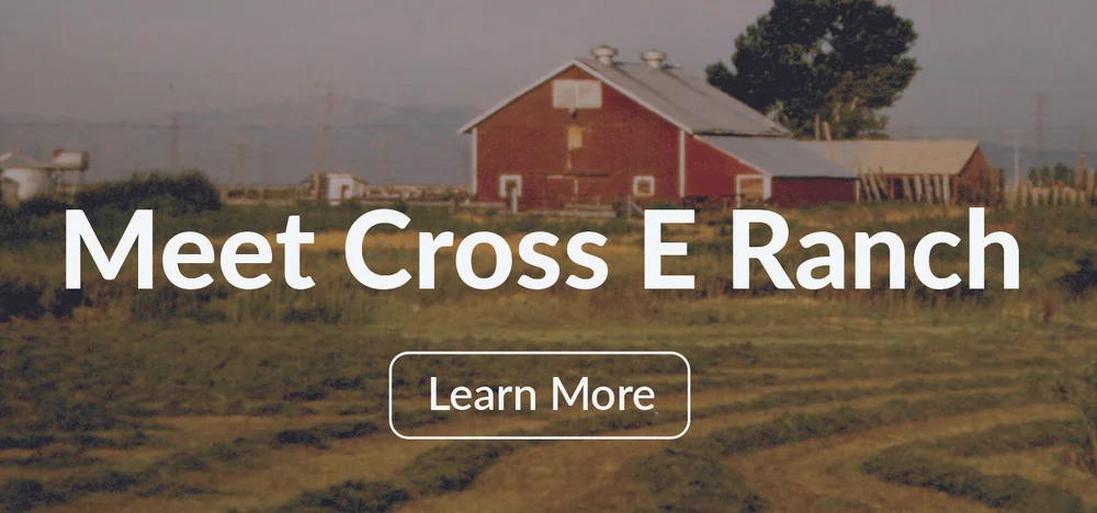 Cross E Ranch