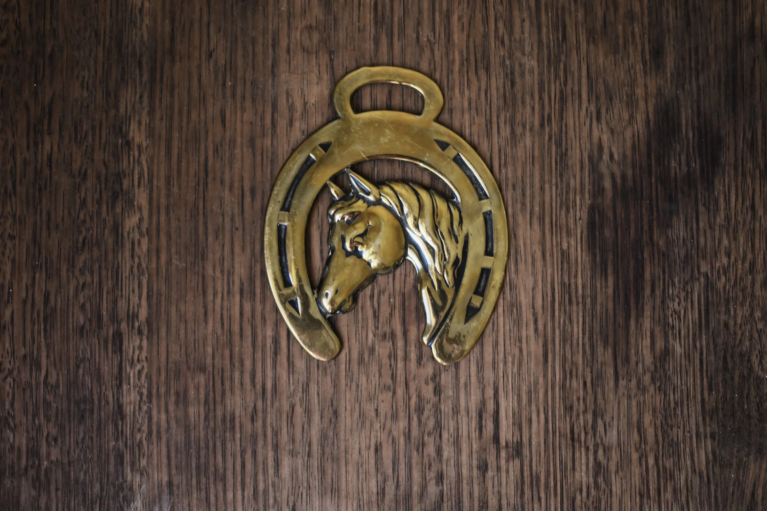 Antique and Vintage-Horse Brass-Horse in Horseshoe-Protective Charms-Talisman-Western Gothic-Trinkets-Collectables-Curiosities.JPG