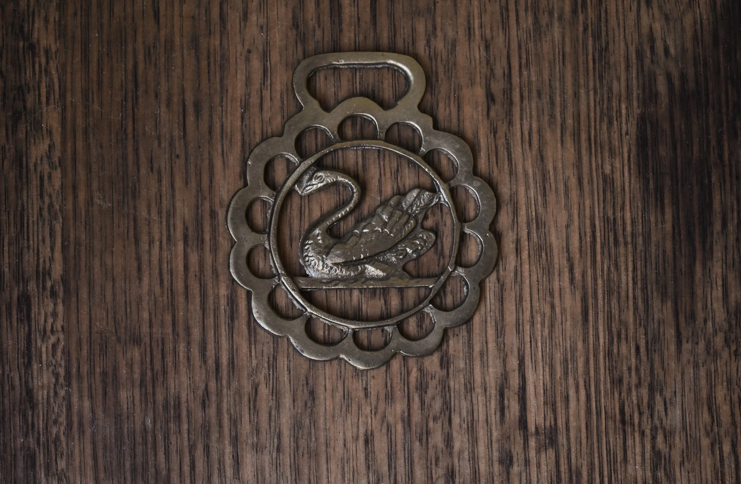 Antique and Vintage-Horse Brass-Swan-Protective Charms-Talisman-Western Gothic-Trinkets-Collectables-Curiosities.JPG