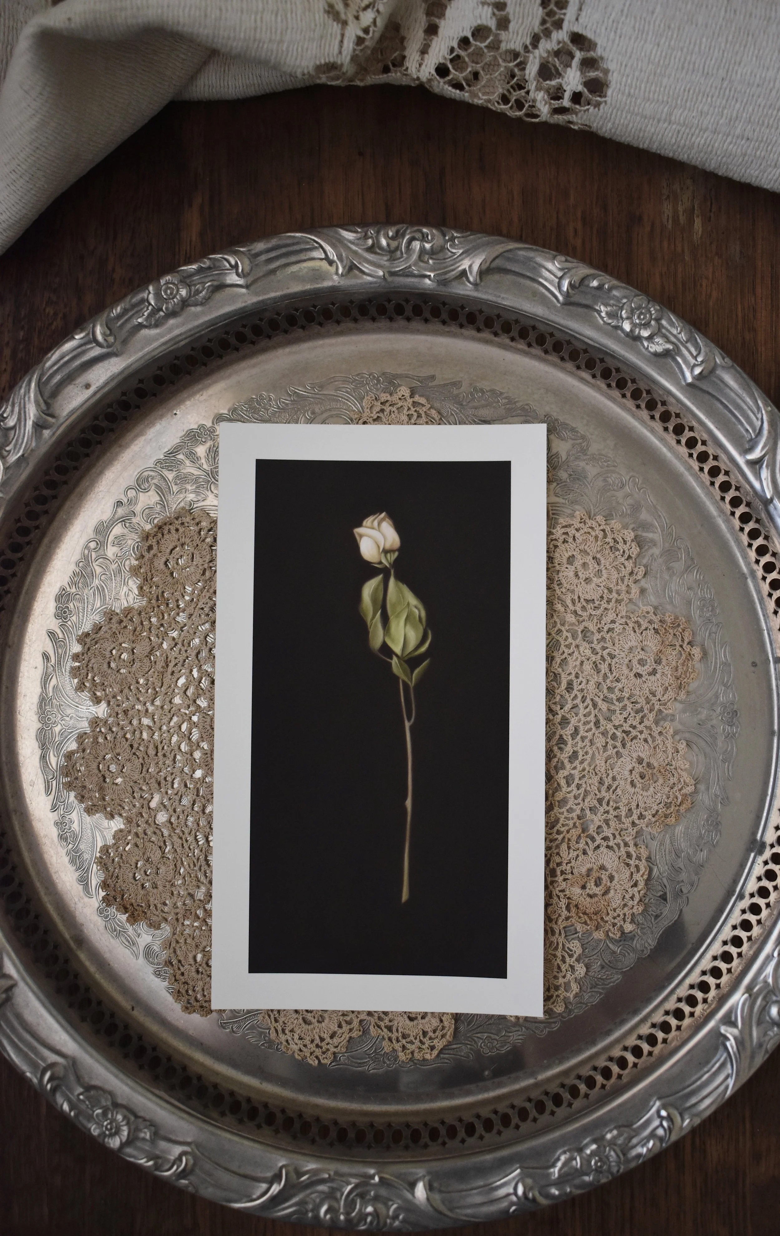 Roses-Artwork-Art Print-Abigail Doyle-Gothic-White Rose-Interiors 1.JPG