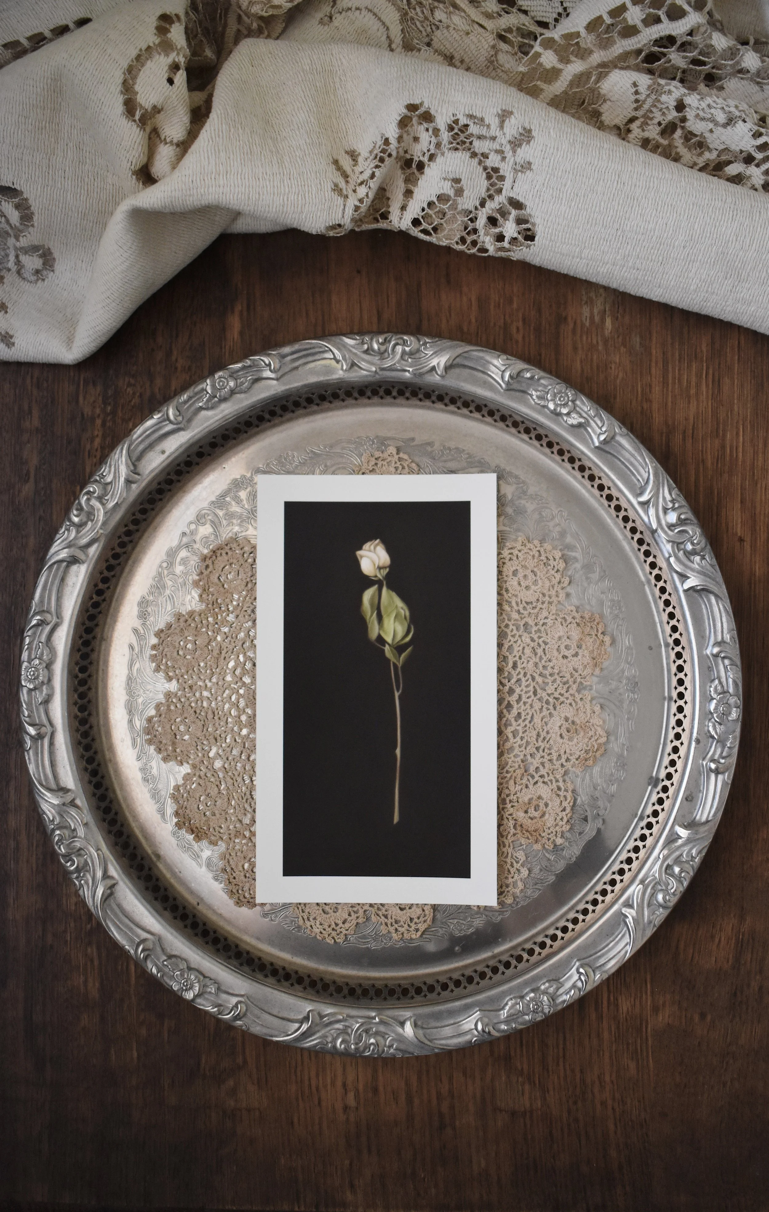 “Roses” – by Abigail Doyle, 2024 (set of 3, sold separately)