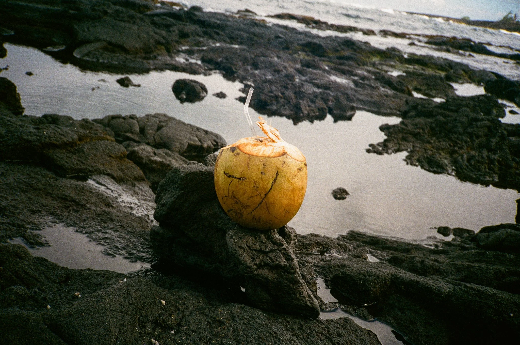 LeSupperClub_Hawaii Picnic35.jpg