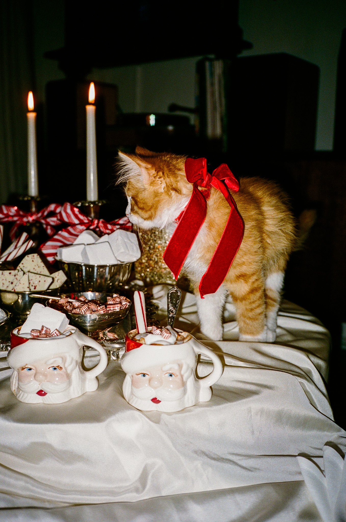 Santa Approved Hot Chocolate