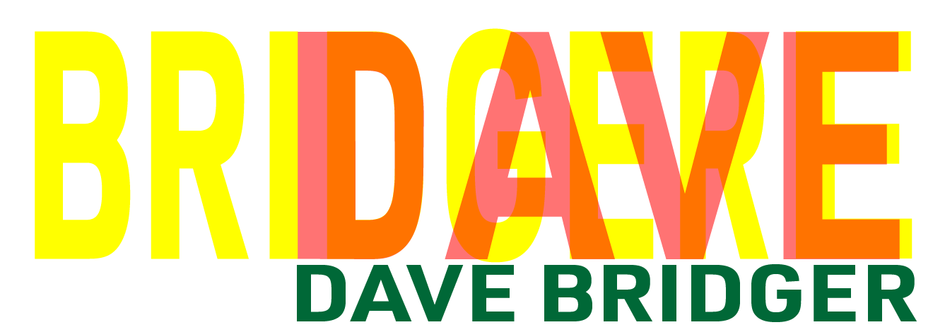 David Bridger
