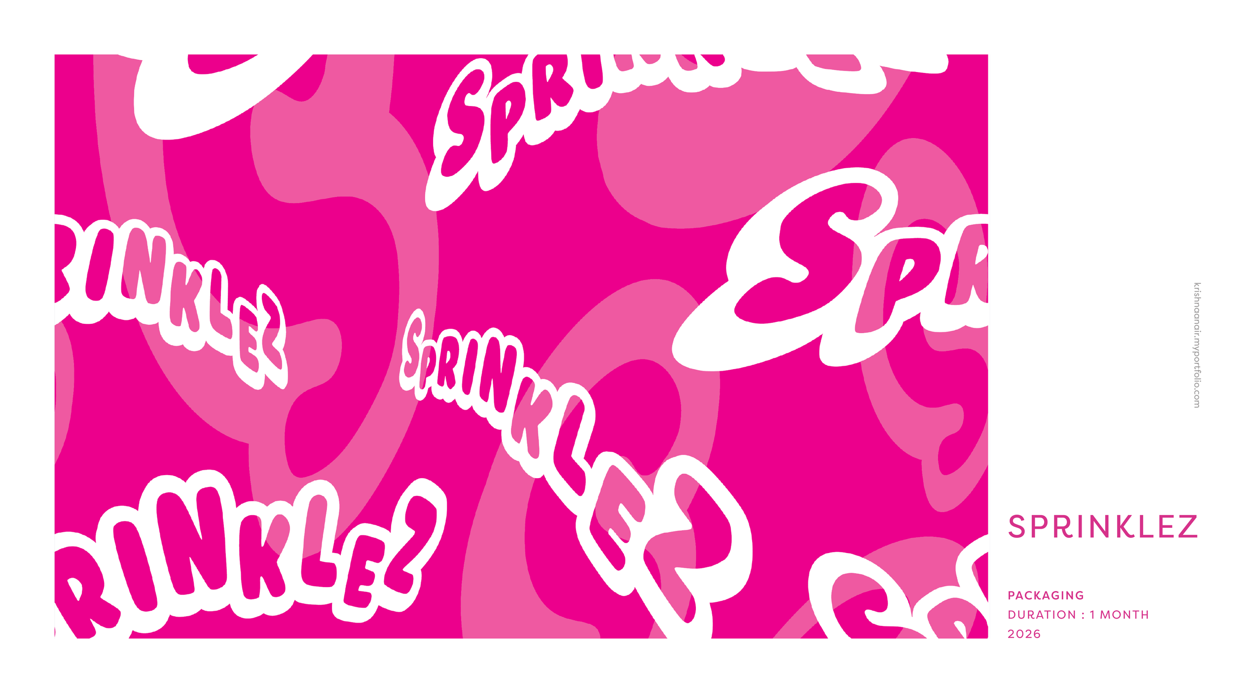 Portfolio PDF.png