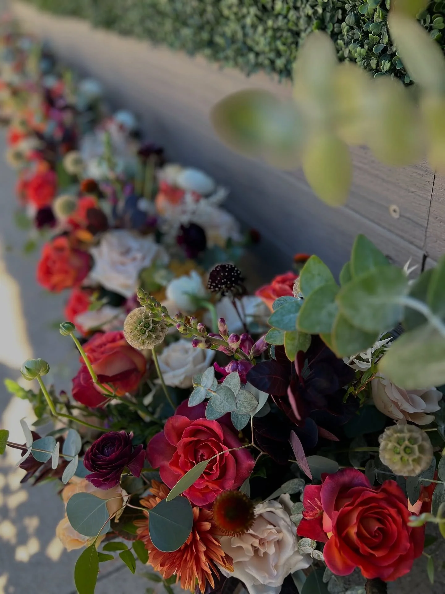 the quiet fire of autumn, in bloom.
color deepens. light softens. beauty lingers a little longer.
.
.
.
#adorationsbotanical #floralartistry #quietbeauty #intentionaldesign