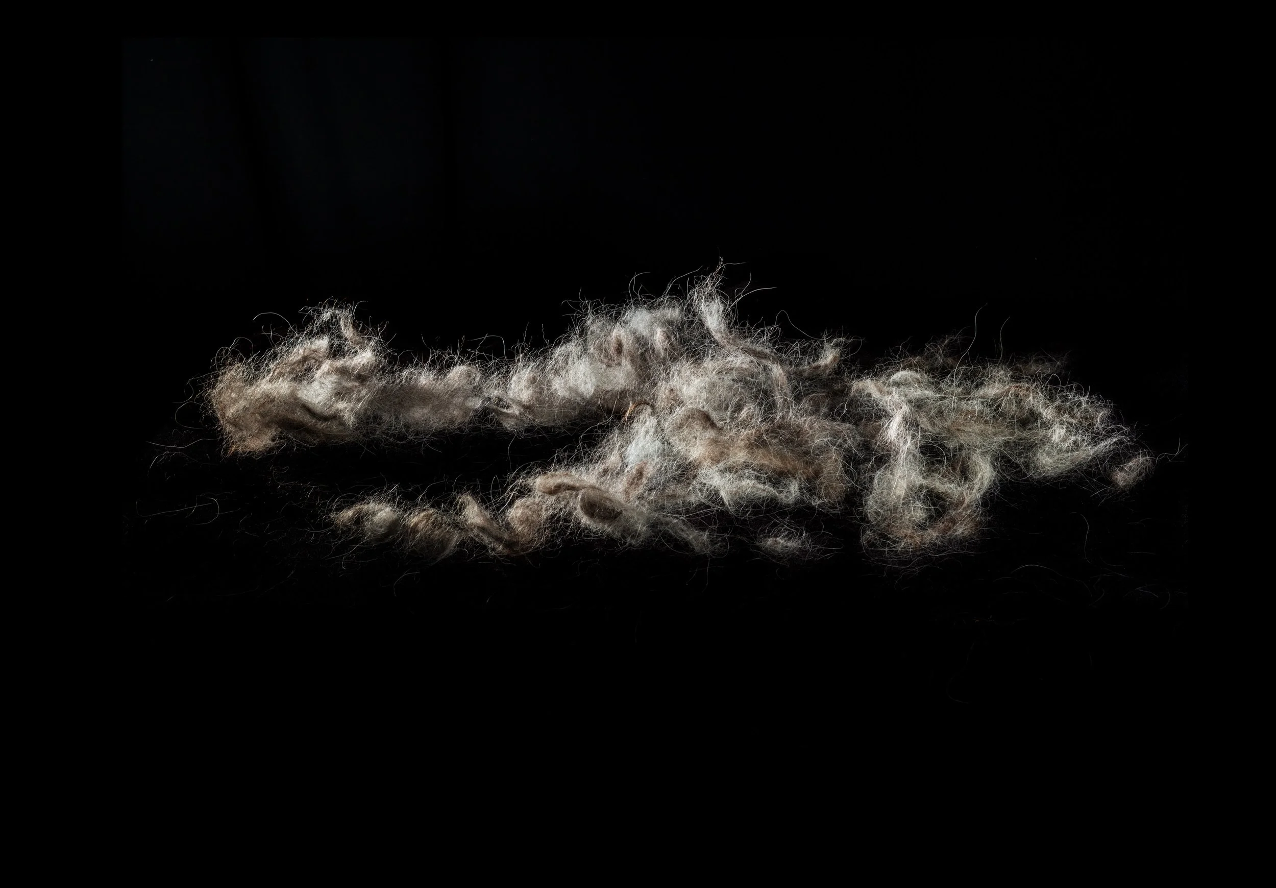 Still Life no.7, 2021, 27.3 x 39,4 cm, inkjet print