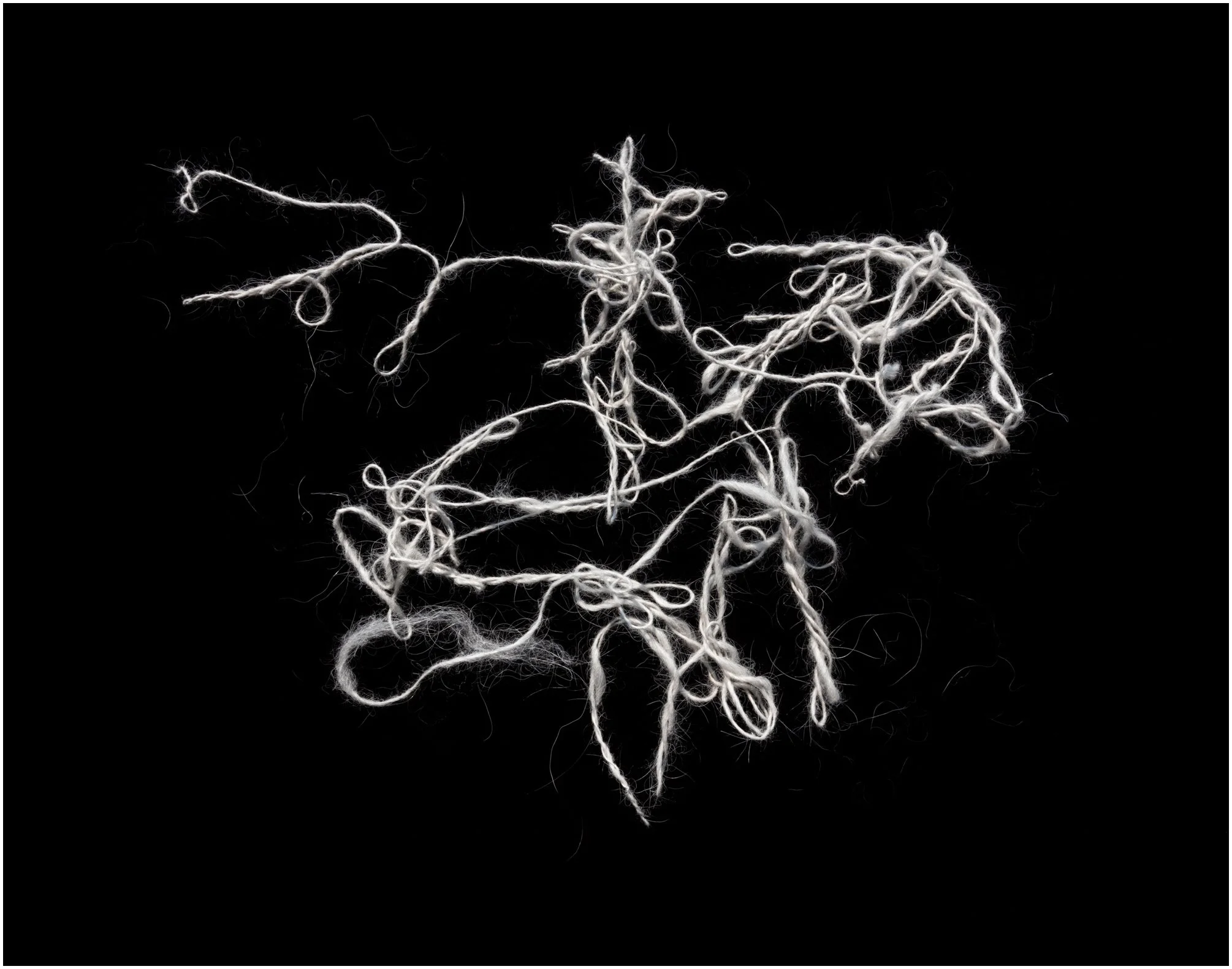 Chiengora no.1, 2021, inkjet print, 22 x 25.5 cm