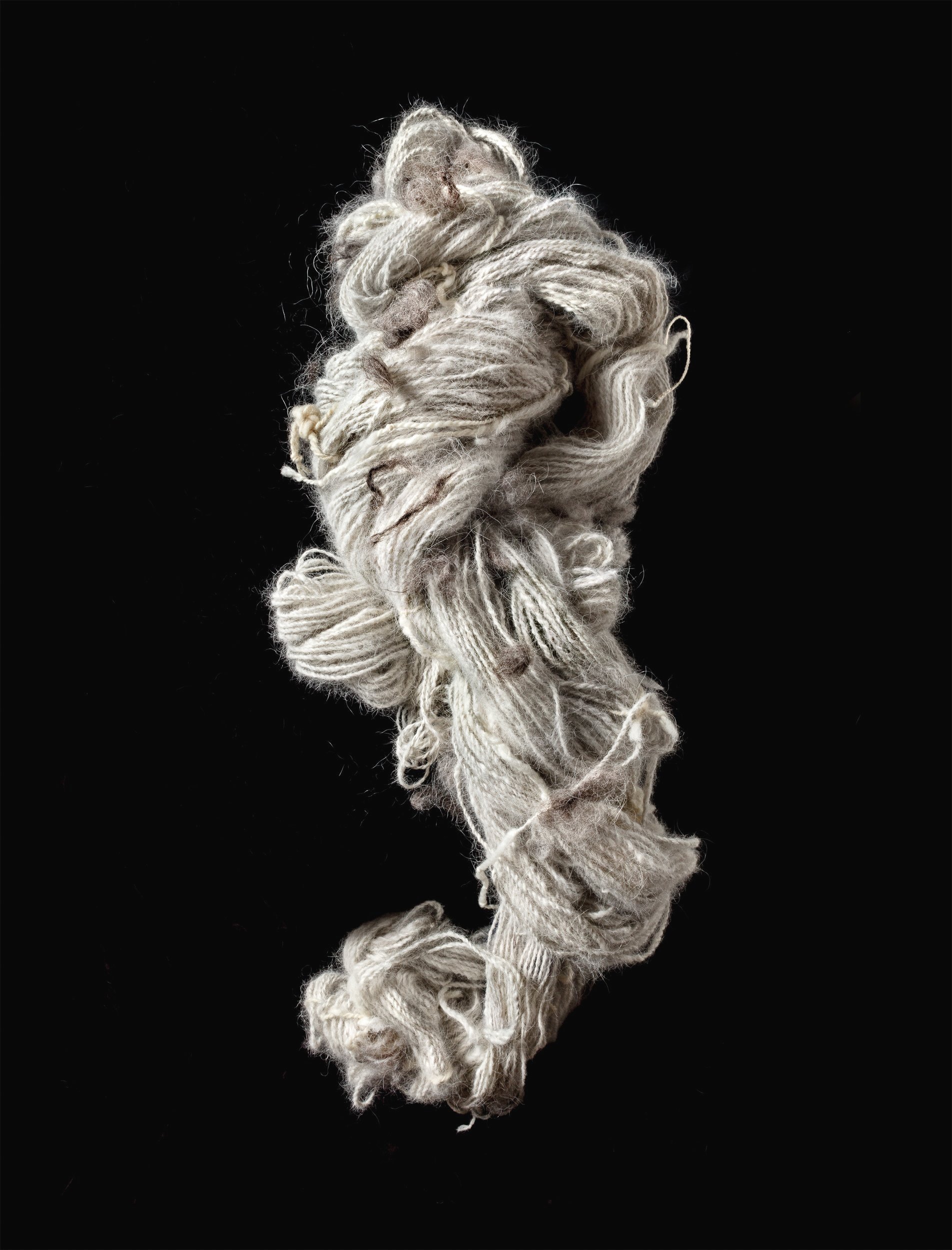 Chiengora no.4, 2022, 101 x 77 cm, inkjet print
