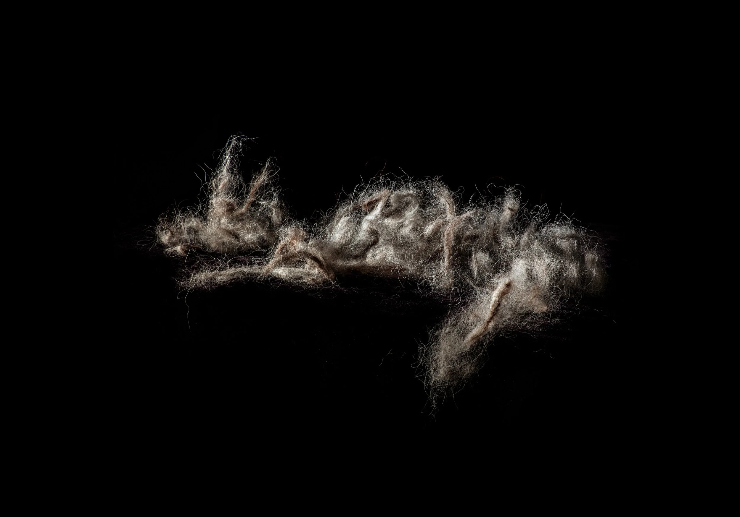 Still Life no.1, 2021, 26.7 x 38.8 cm, inkjet print