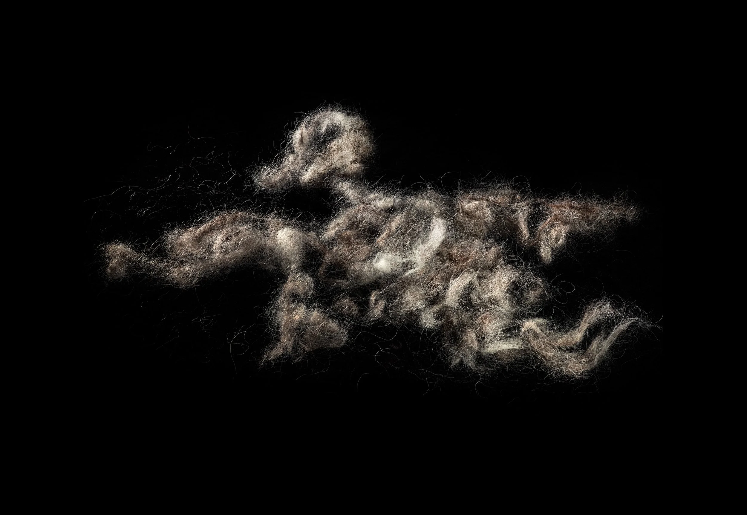 Still Life no.5, 2021, 27.3 x 39,4 cm, inkjet print