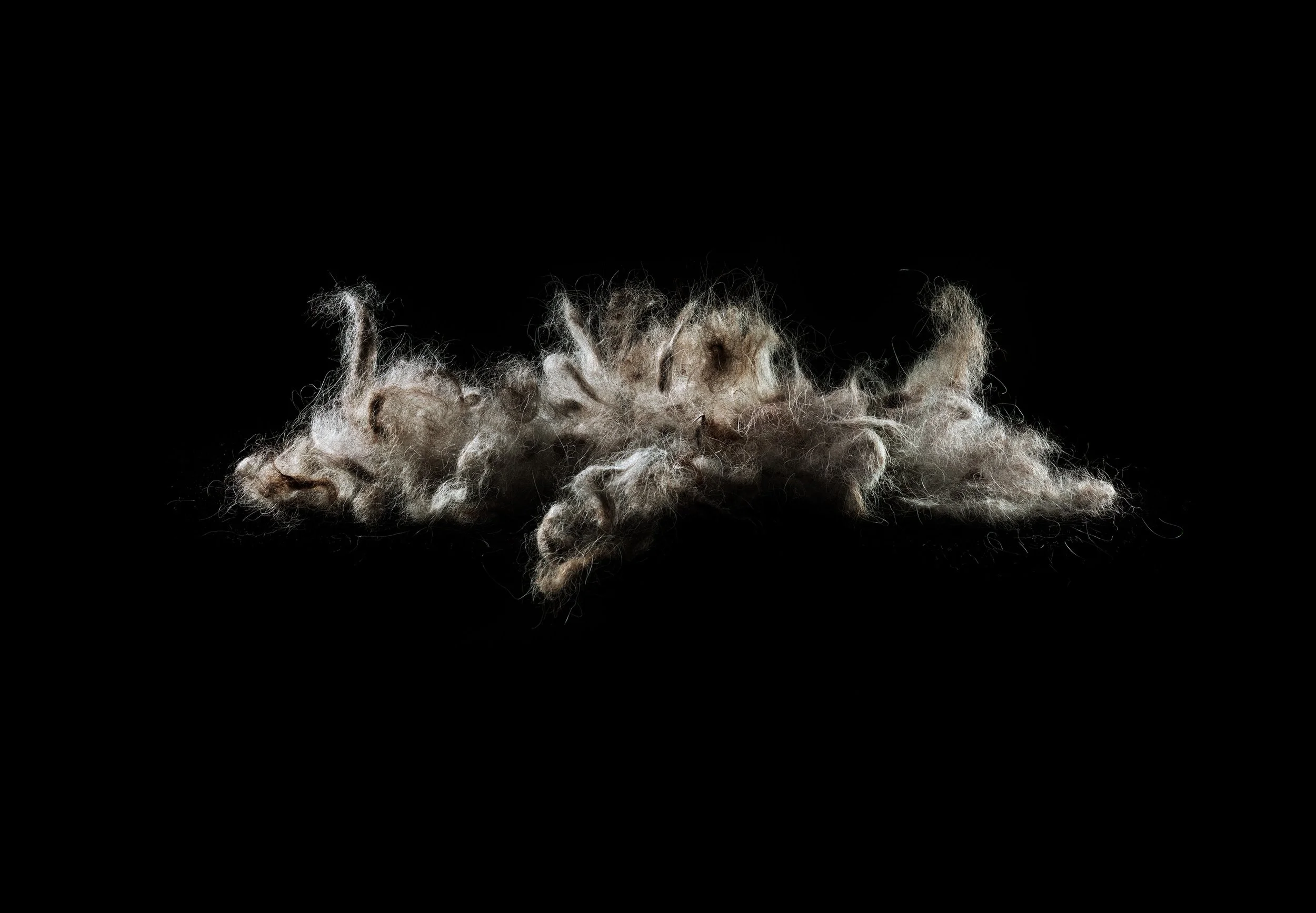 Still Life no.6, 2021, 27.3 x 39,4 cm, inkjet print
