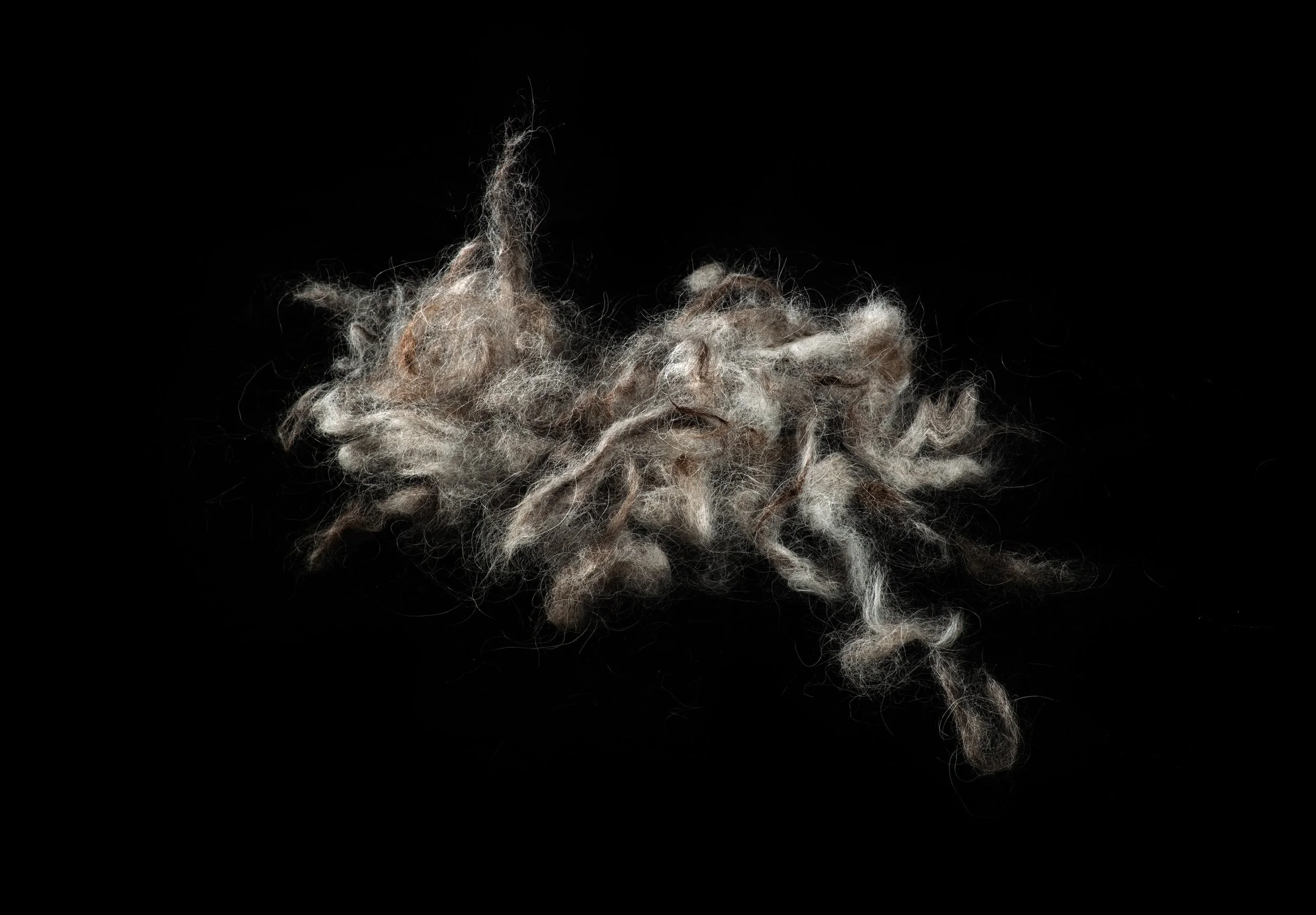 Still Life no.2, 2021, 27.3 x 39.4 cm, inkjet print
