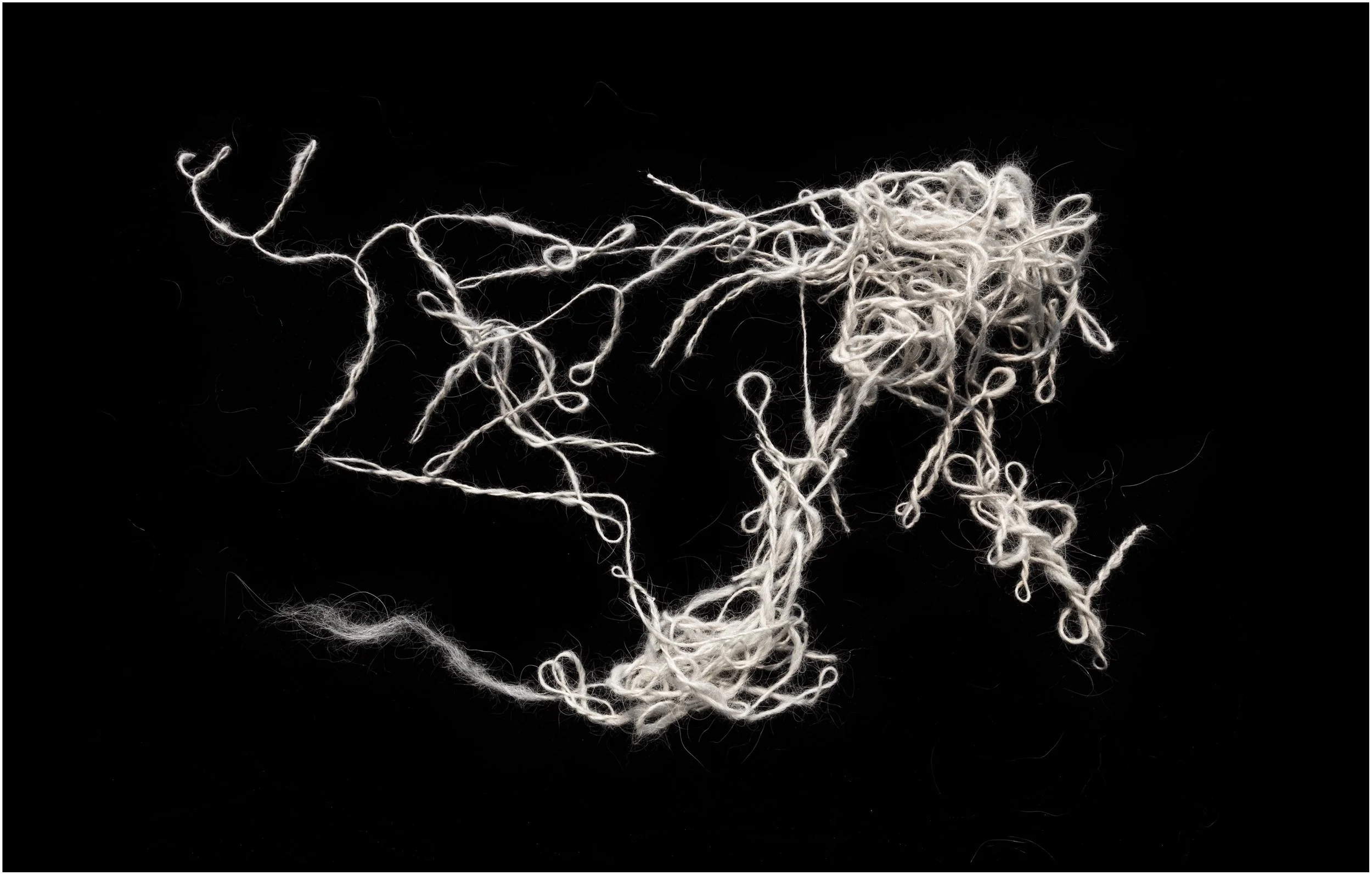 Chiengora Drawing no.2, 2021, inkjet print, 27 x 42 cm