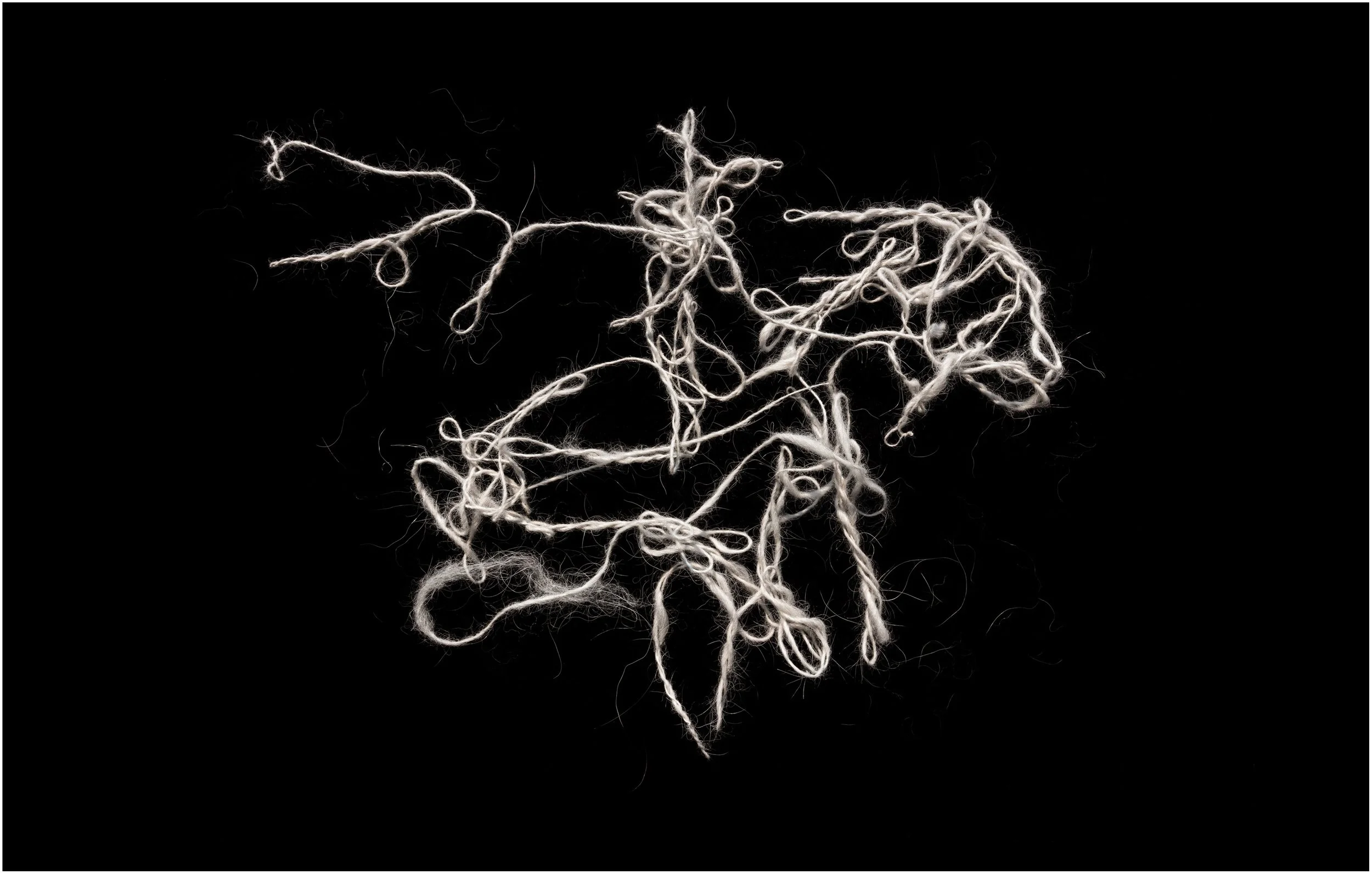 Chiengora Drawing  no.1, 2021, inkjet print, 27 x 42 cm