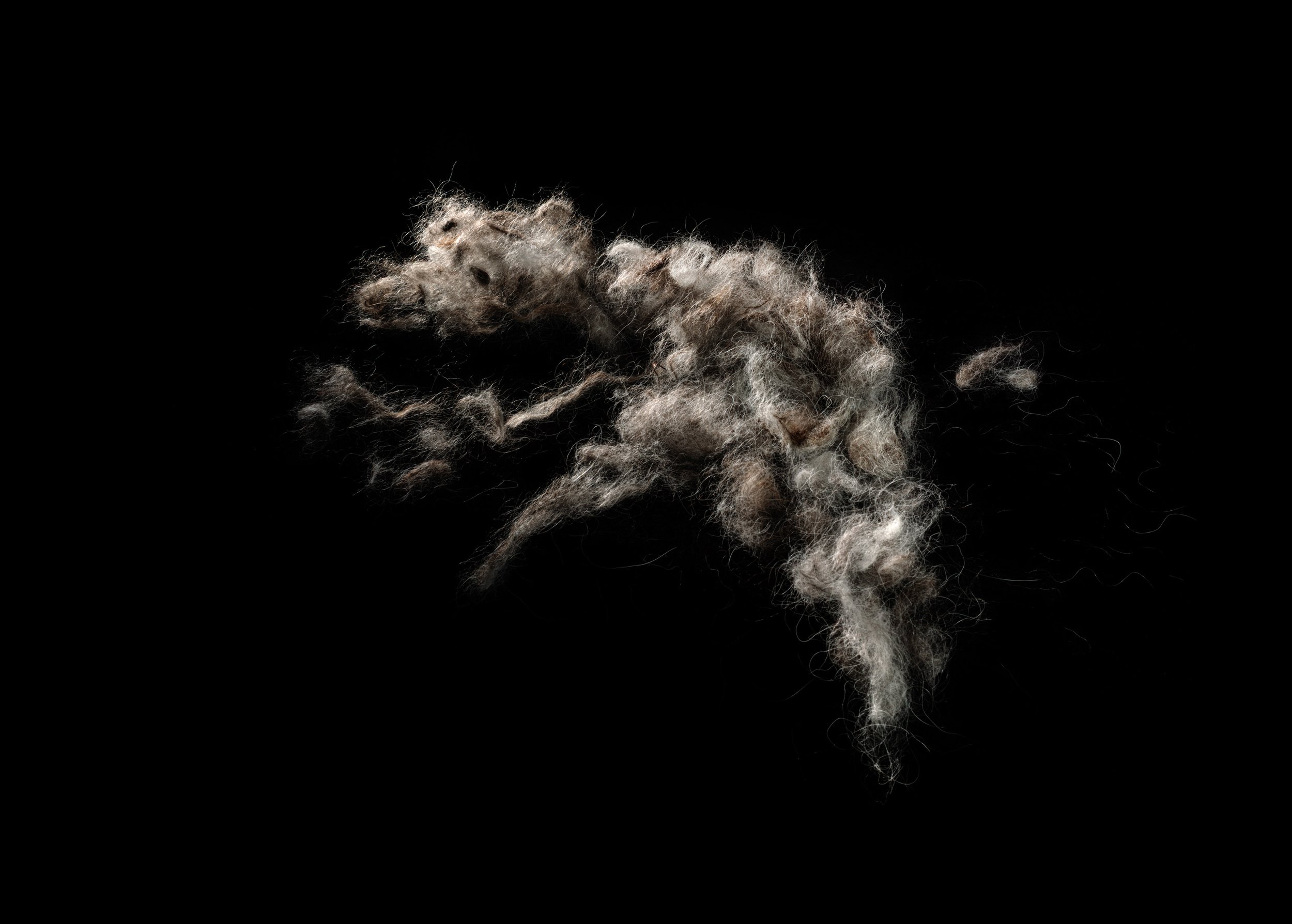 Still Life no.3, 2021, 26.7 x 38.1 cm, inkjet print