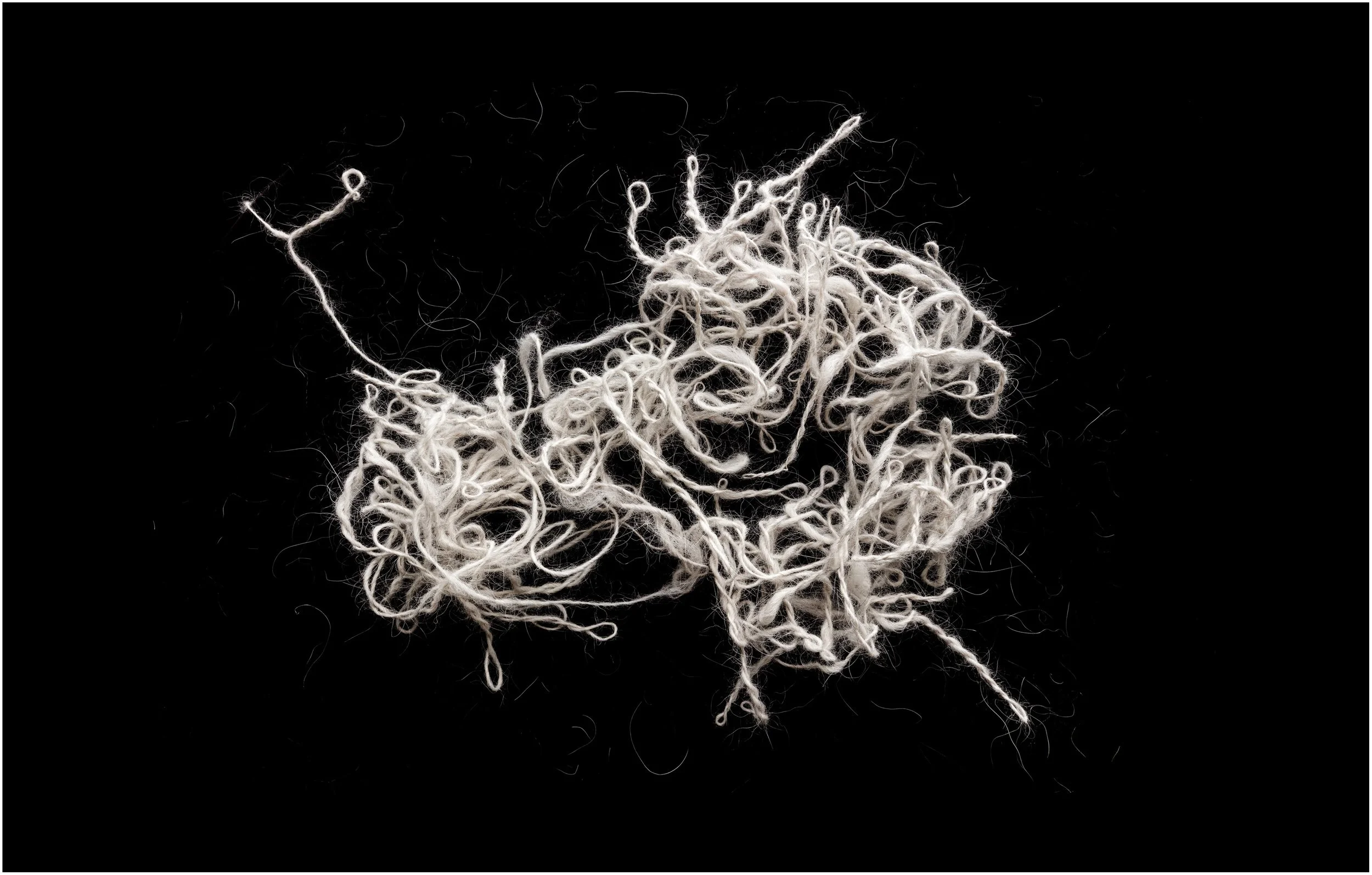 Chiengora Drawing no.3, 2021, inkjet print, 27 x 42 cm