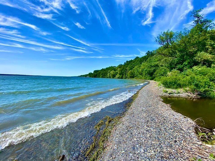 Happy Friday! We are so excited to be hosting a Happy Hour Hike at Bell Station Preserve in Lansing next Wednesday, June 7th, at 5:30 PM, followed by happy hour at @saltpointbrewing. No registration is necessary; come alone, with coworkers, or bring 